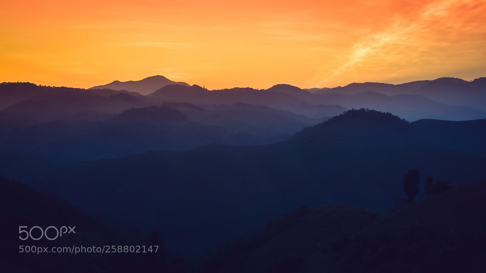 Nikon D3100 sample photo. Landscape of forest mountains photography