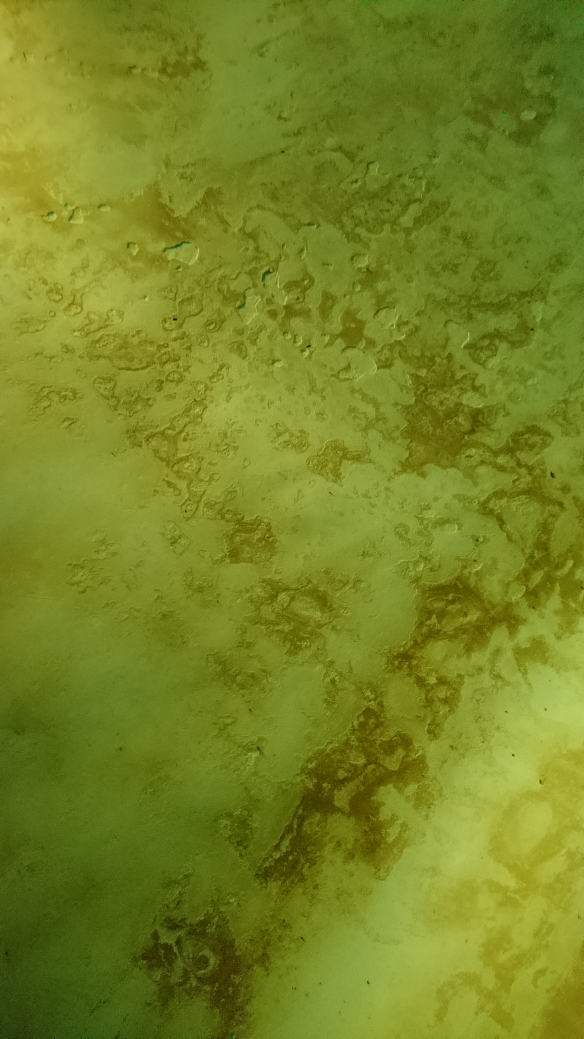 Sony Xperia X sample photo. Pool bottom moonscape photography