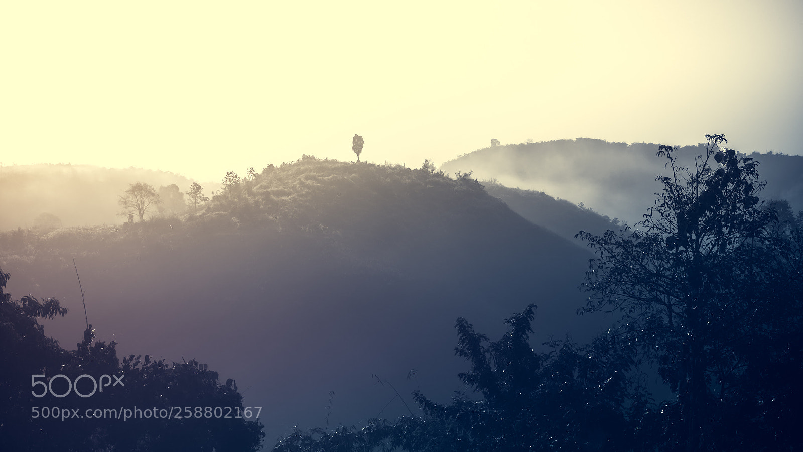 Nikon D3100 sample photo. Landscape of forest mountains photography