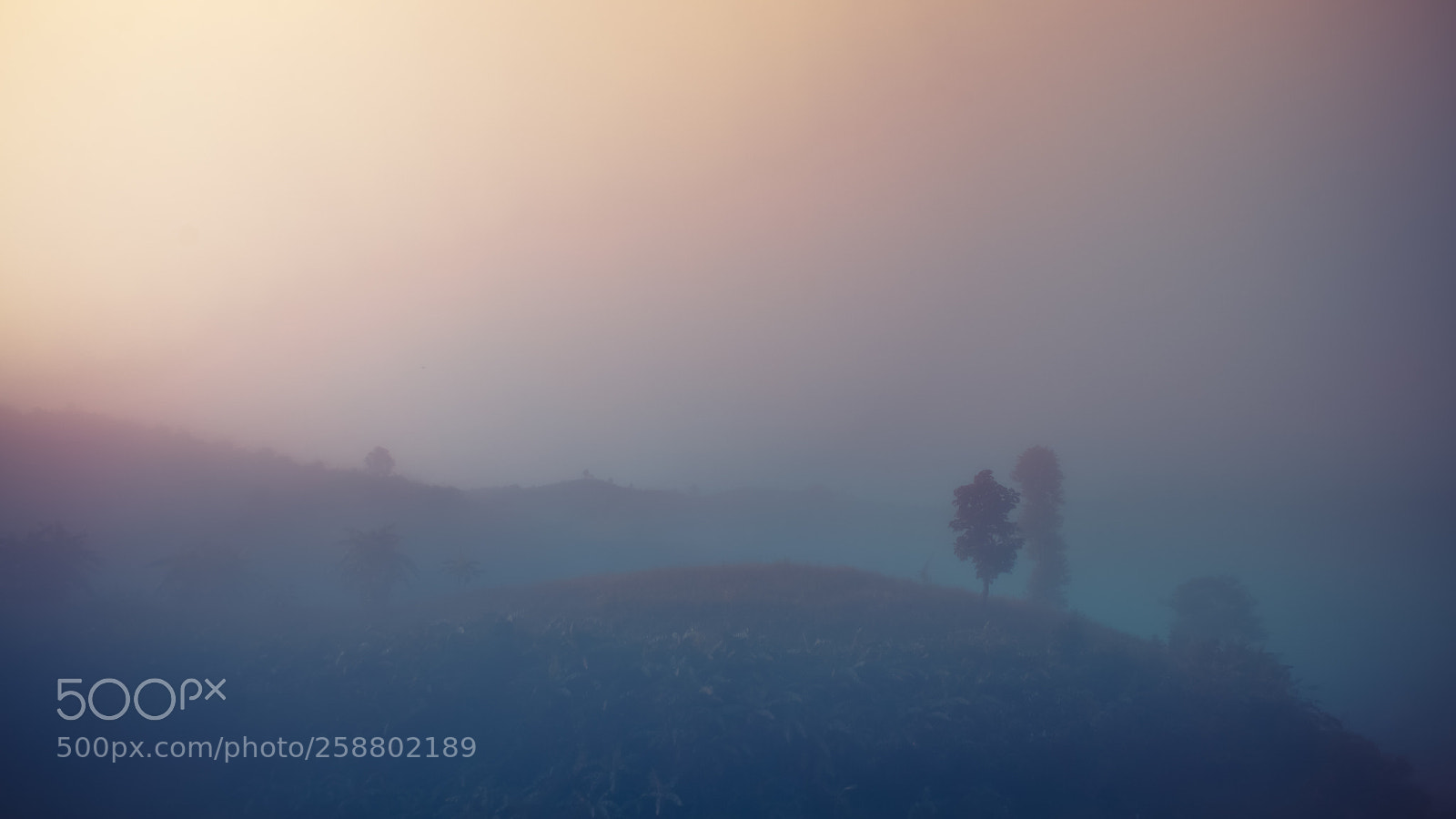 Nikon D3100 sample photo. Landscape of forest mountains photography