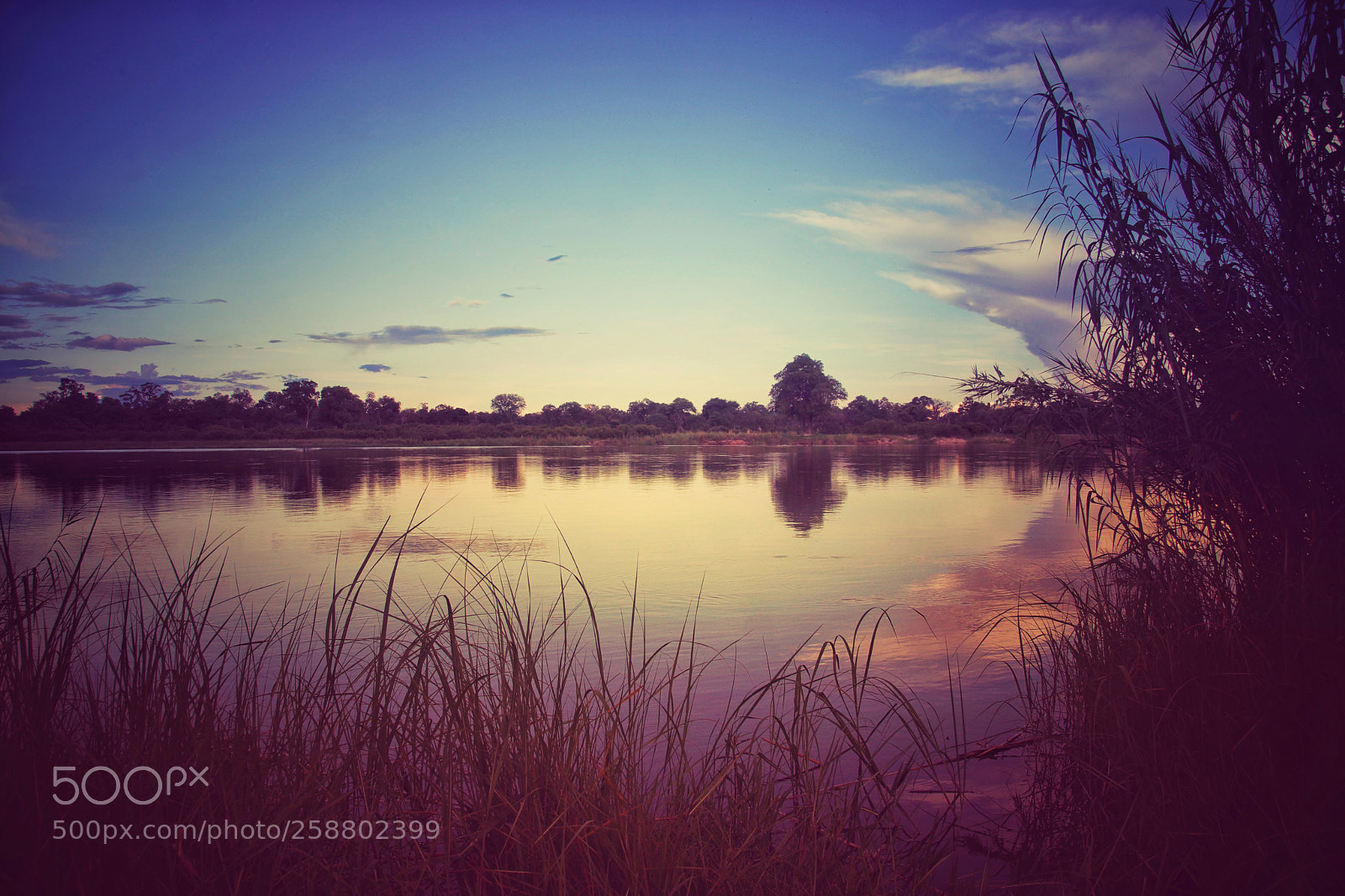 Sony SLT-A77 sample photo. Okavango photography