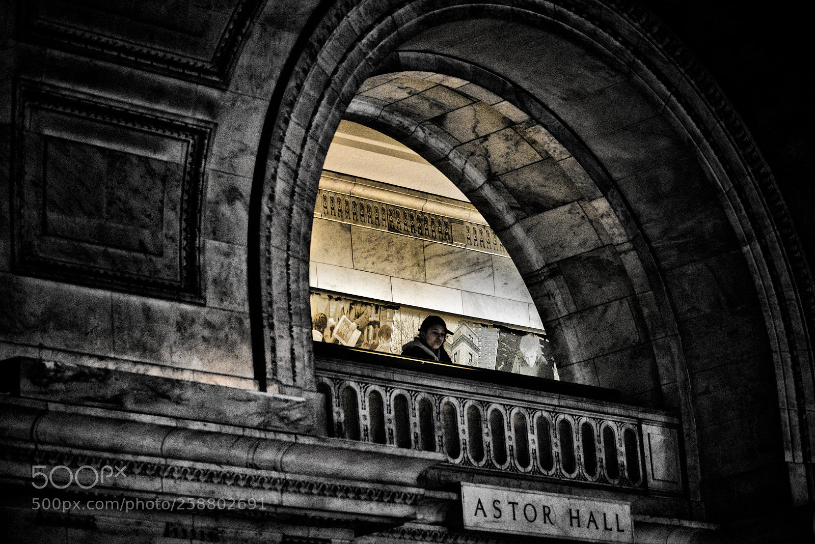 Nikon D810 sample photo. New york public library photography