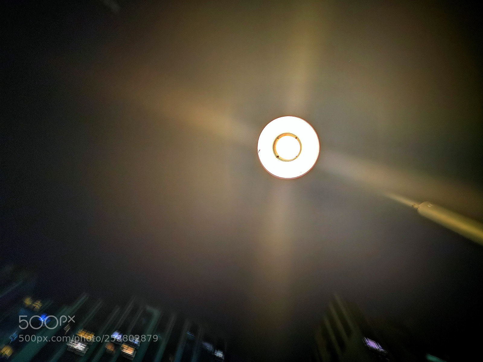 HUAWEI P20 sample photo. Untitled photography
