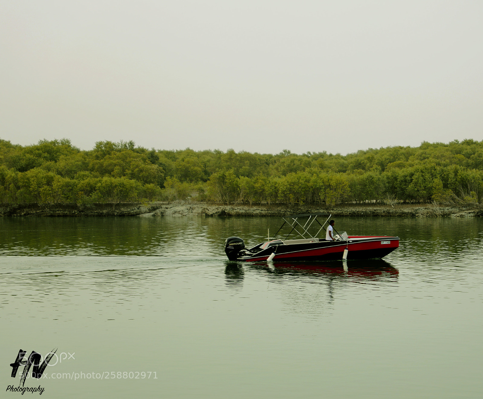Canon EOS 5D Mark IV sample photo. Dusty evening at mangroves photography