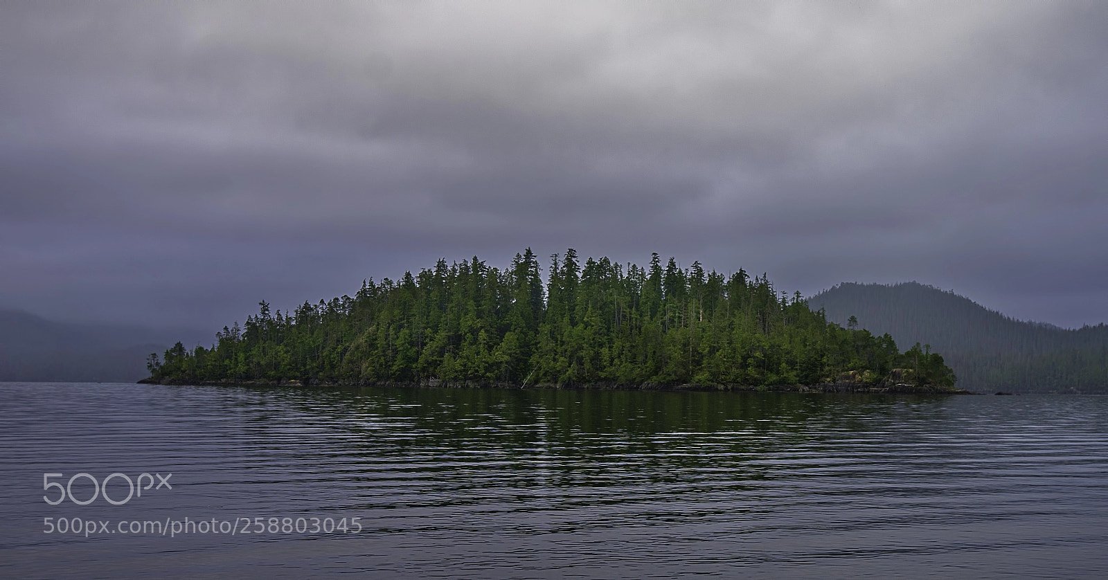 Sony a7R sample photo. Clayoquot photography
