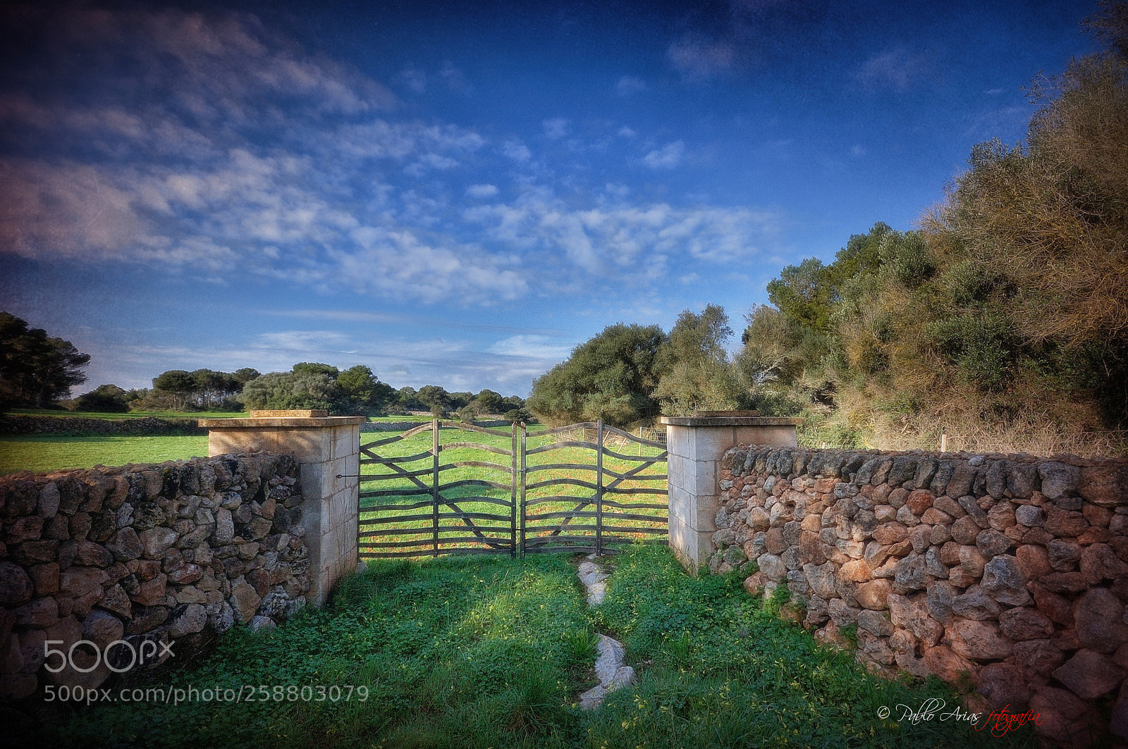 Nikon D50 sample photo. Menorca verde photography