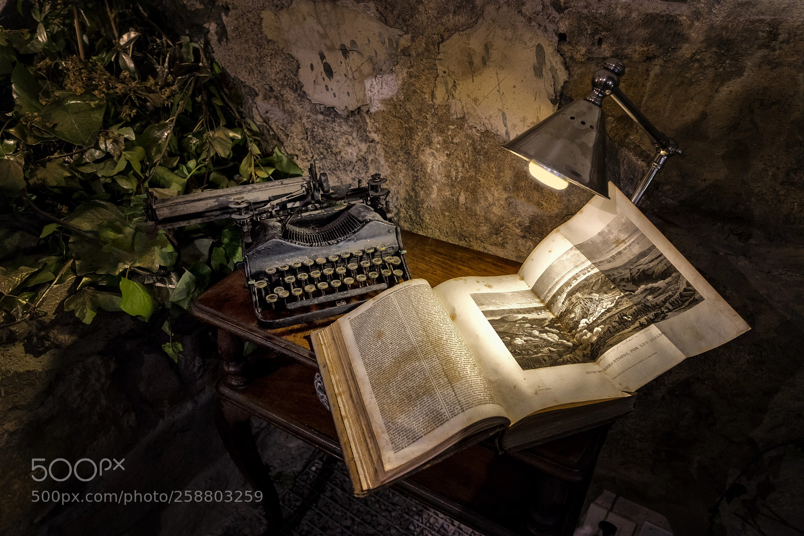Sony a7 II sample photo. El rinc n del photography