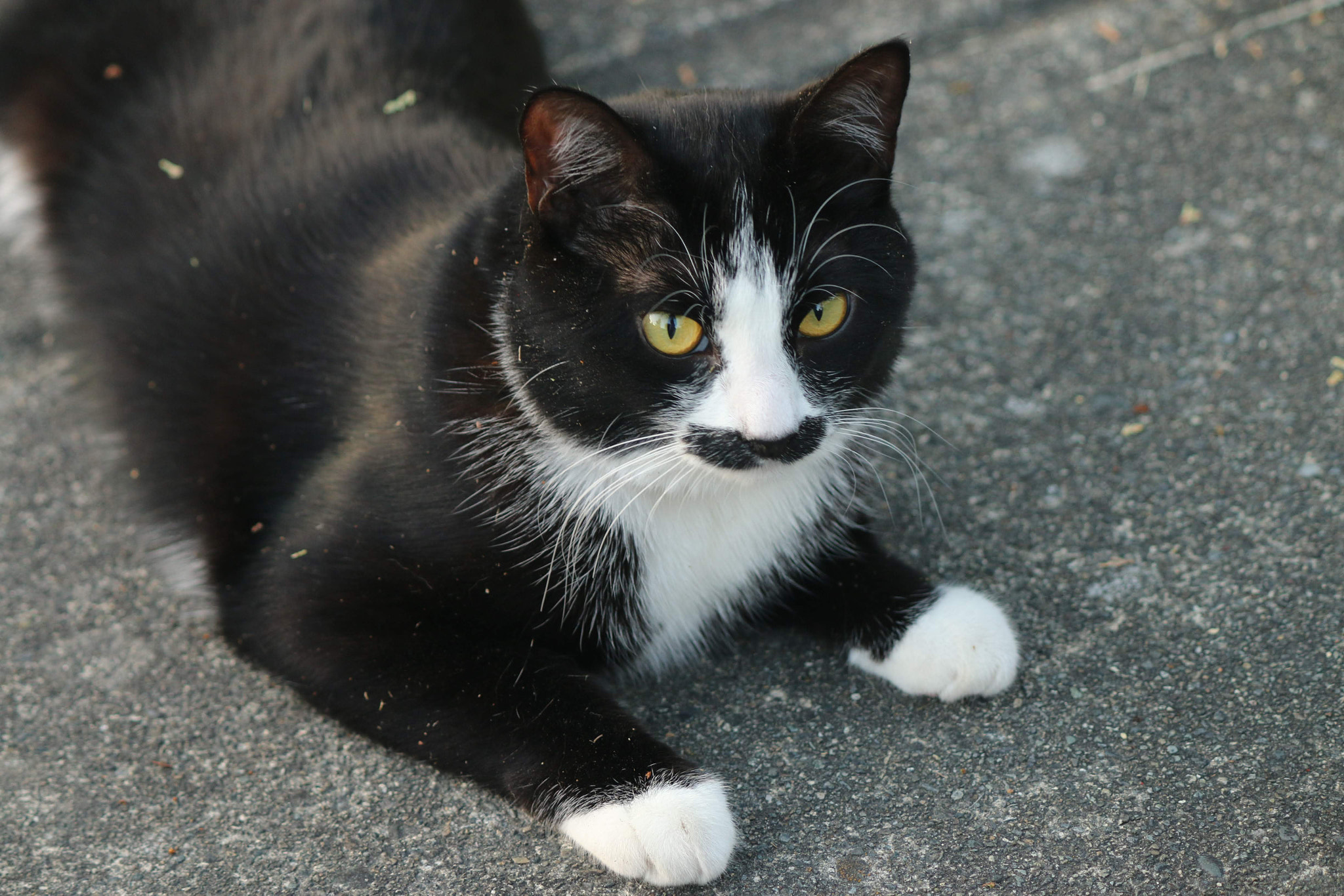 Canon EF-S 55-250mm F4-5.6 IS II sample photo. Black and white portrait photography