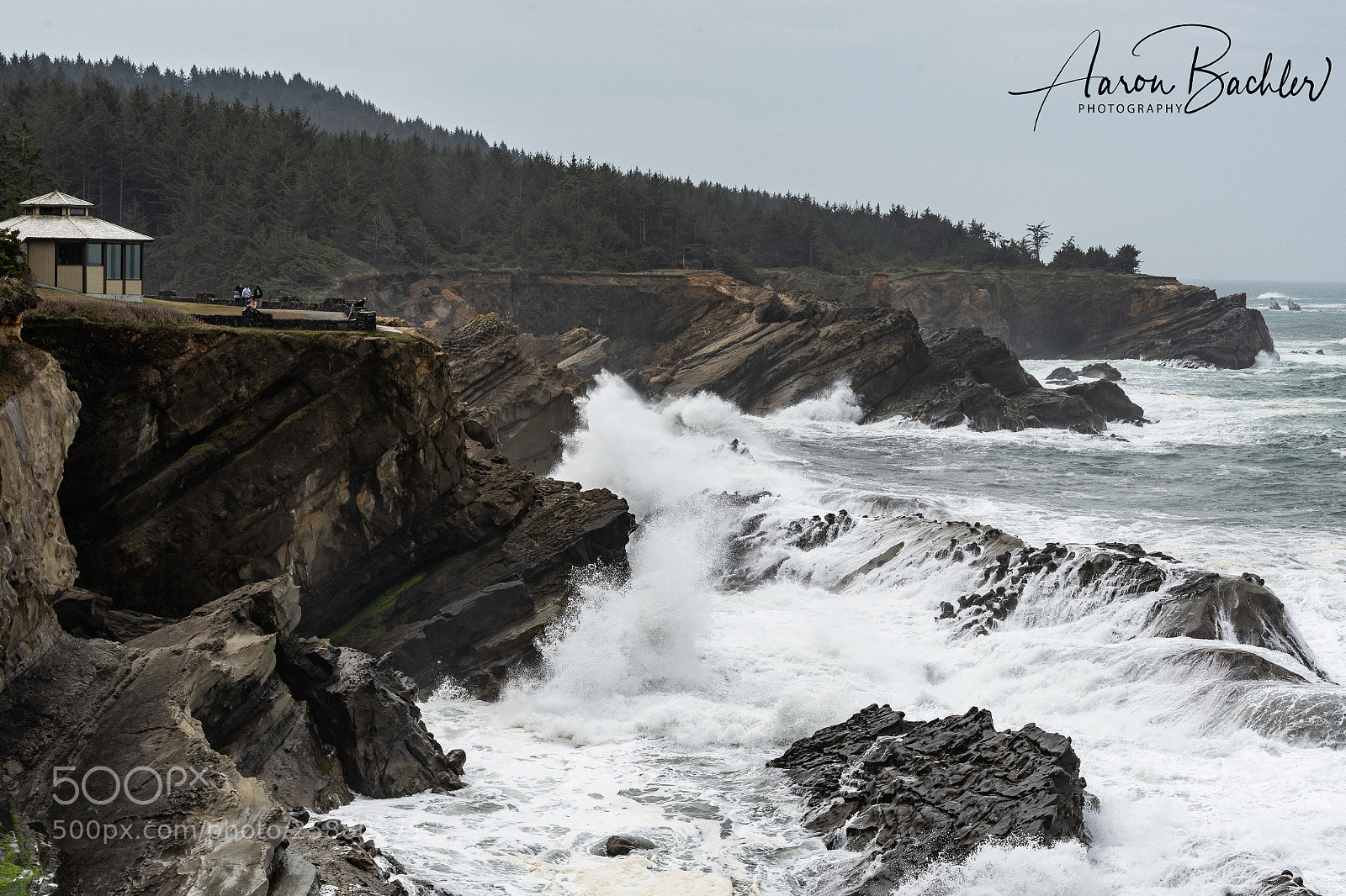 Nikon D610 sample photo. Crashing photography