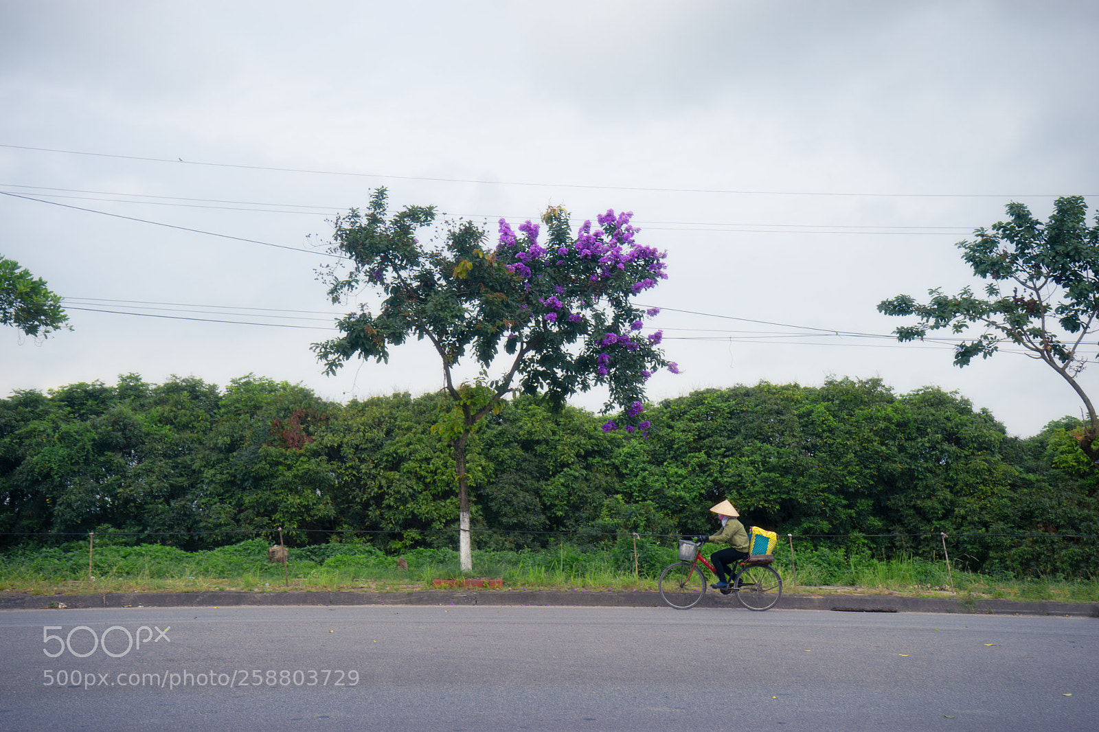 Sony a7 sample photo. Hai duong photography