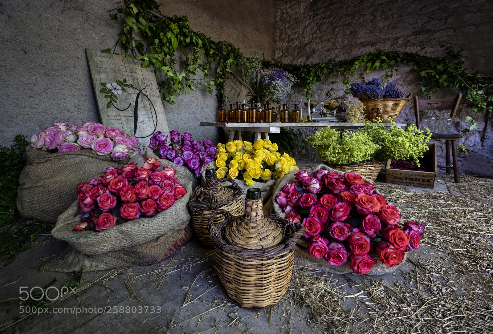 Sony a7 II sample photo. Bodegón / still life photography