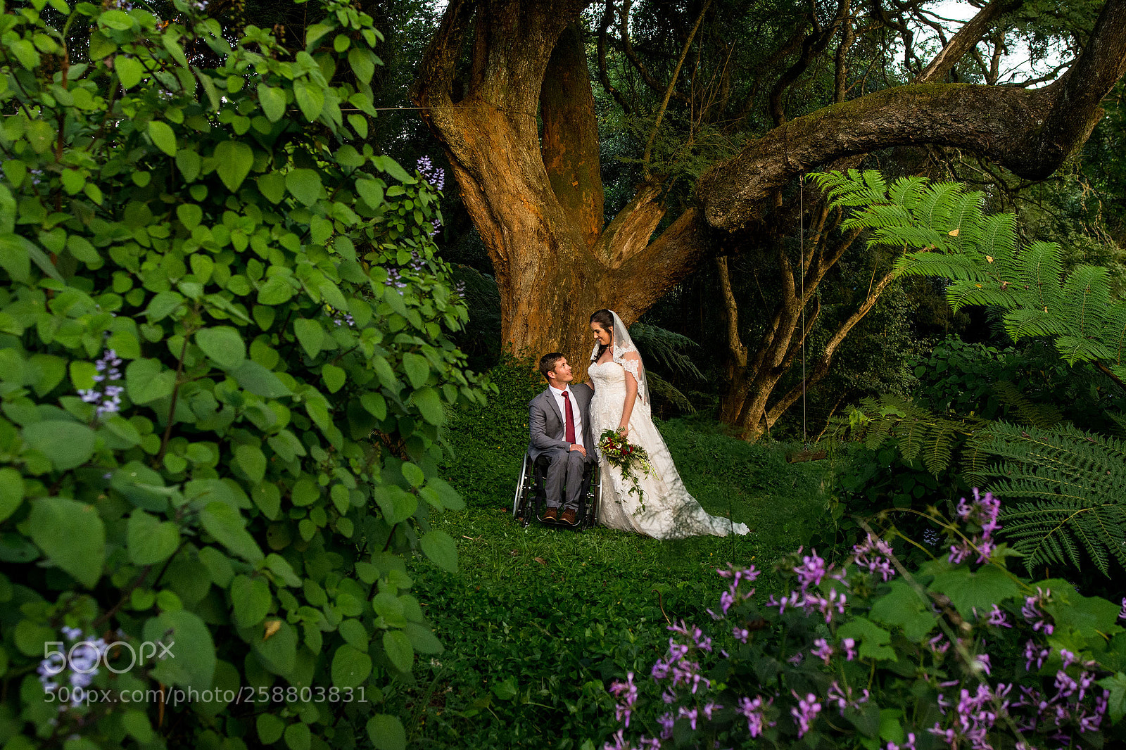 Nikon D7100 sample photo. Forest wedding photography