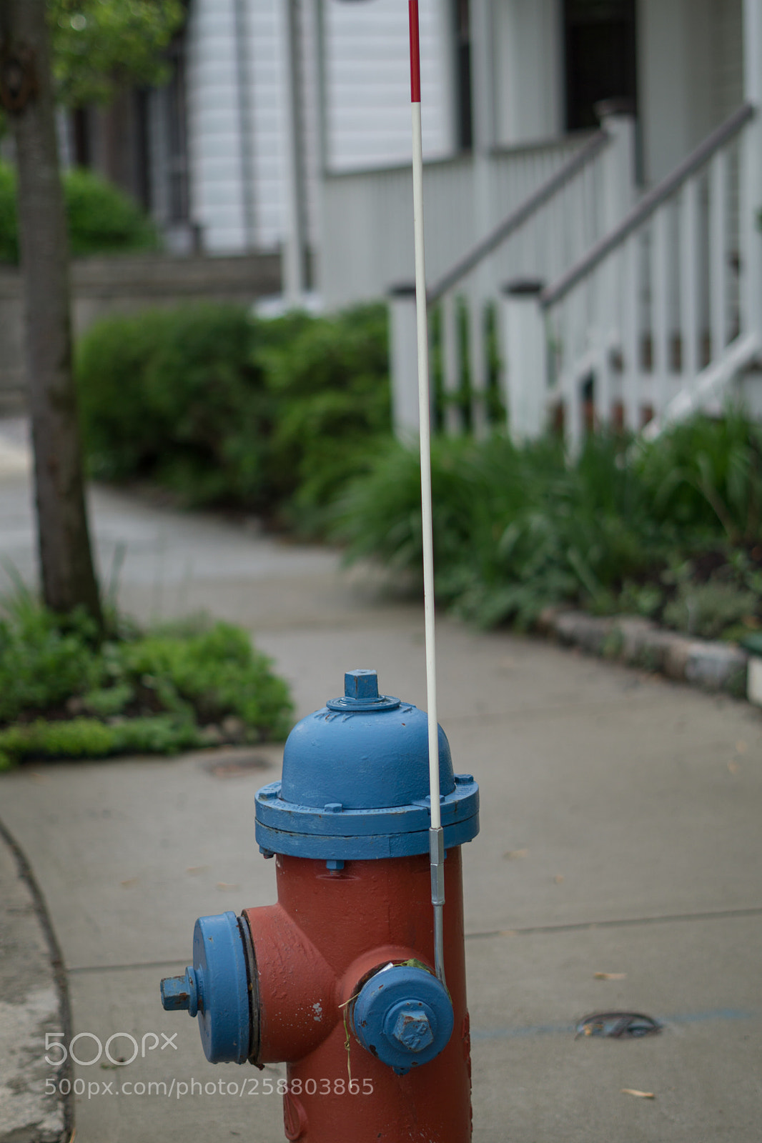 Sony a6000 sample photo. Dsc photography
