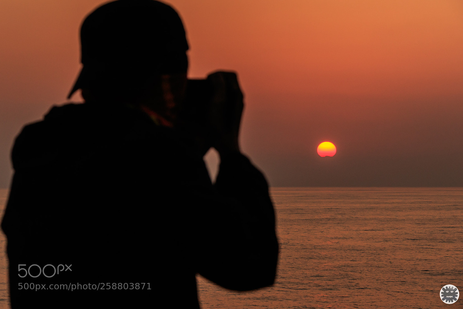Canon EOS 7D Mark II sample photo. D photography