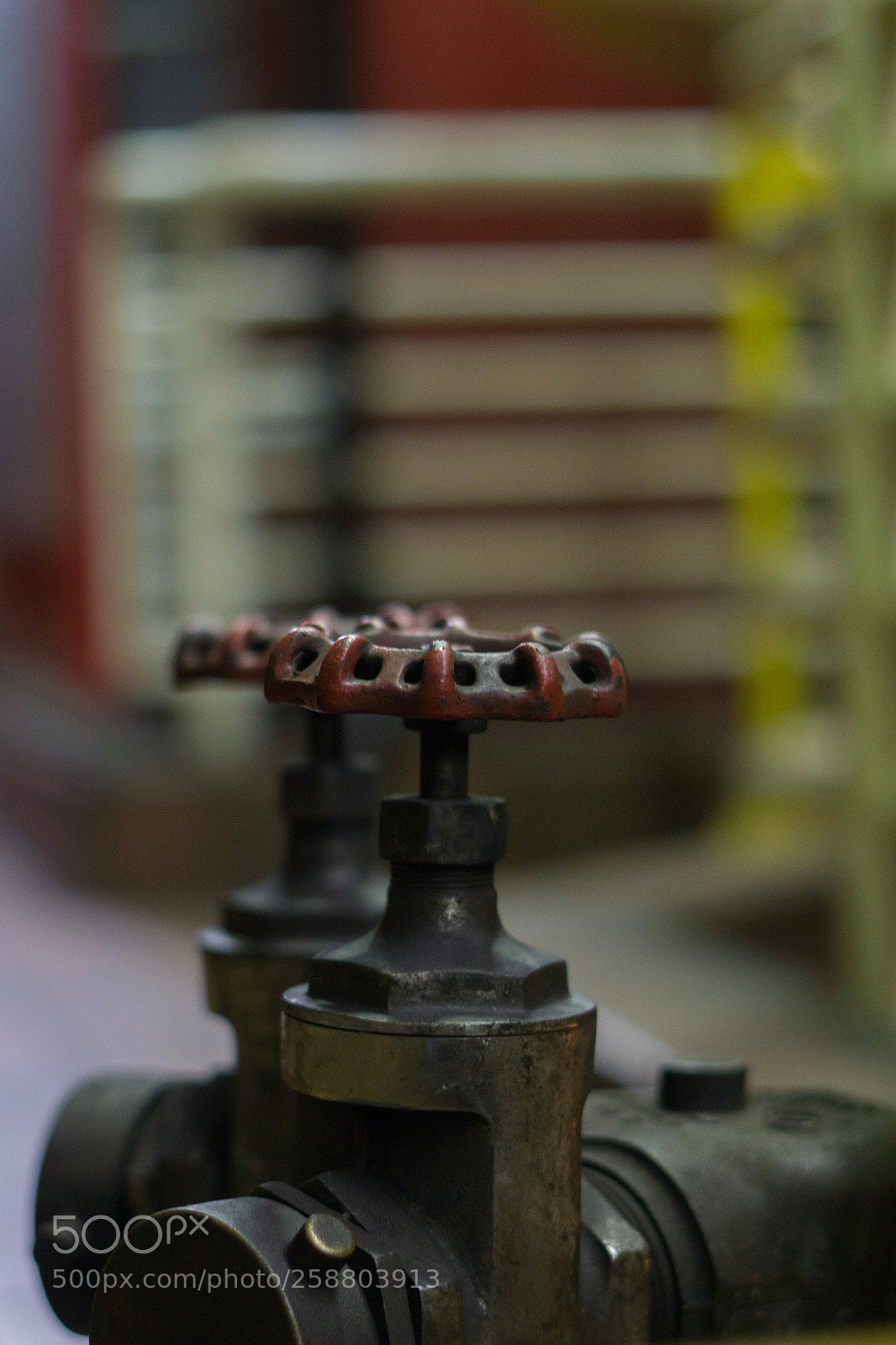 Sony a6000 sample photo. Dsc photography