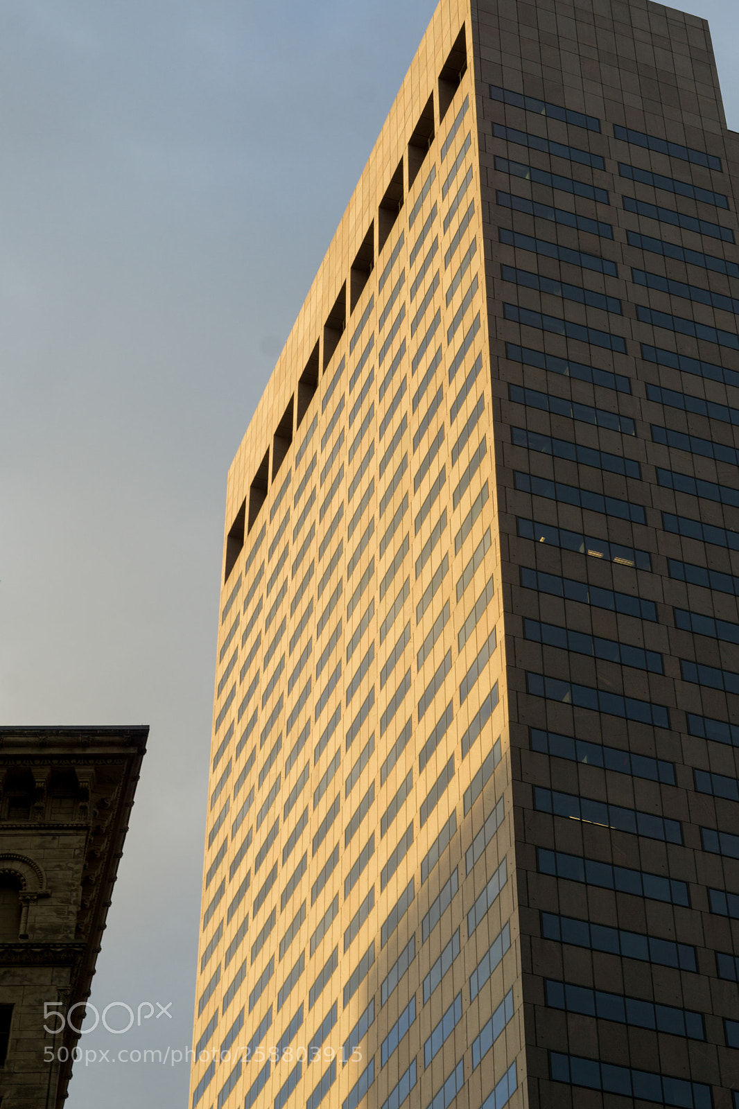 Sony a6000 sample photo. Dsc photography