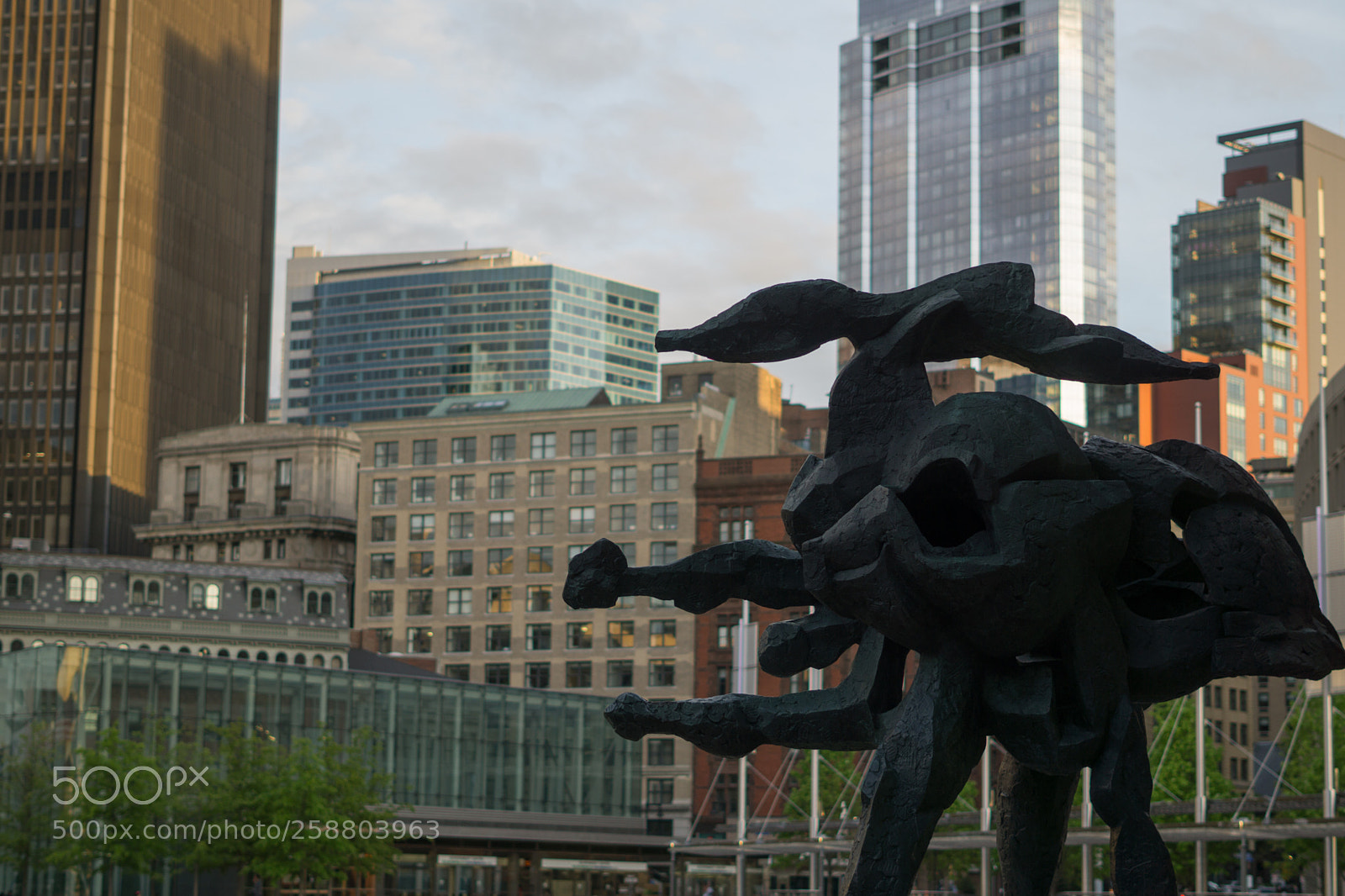Sony a6000 sample photo. Dsc photography