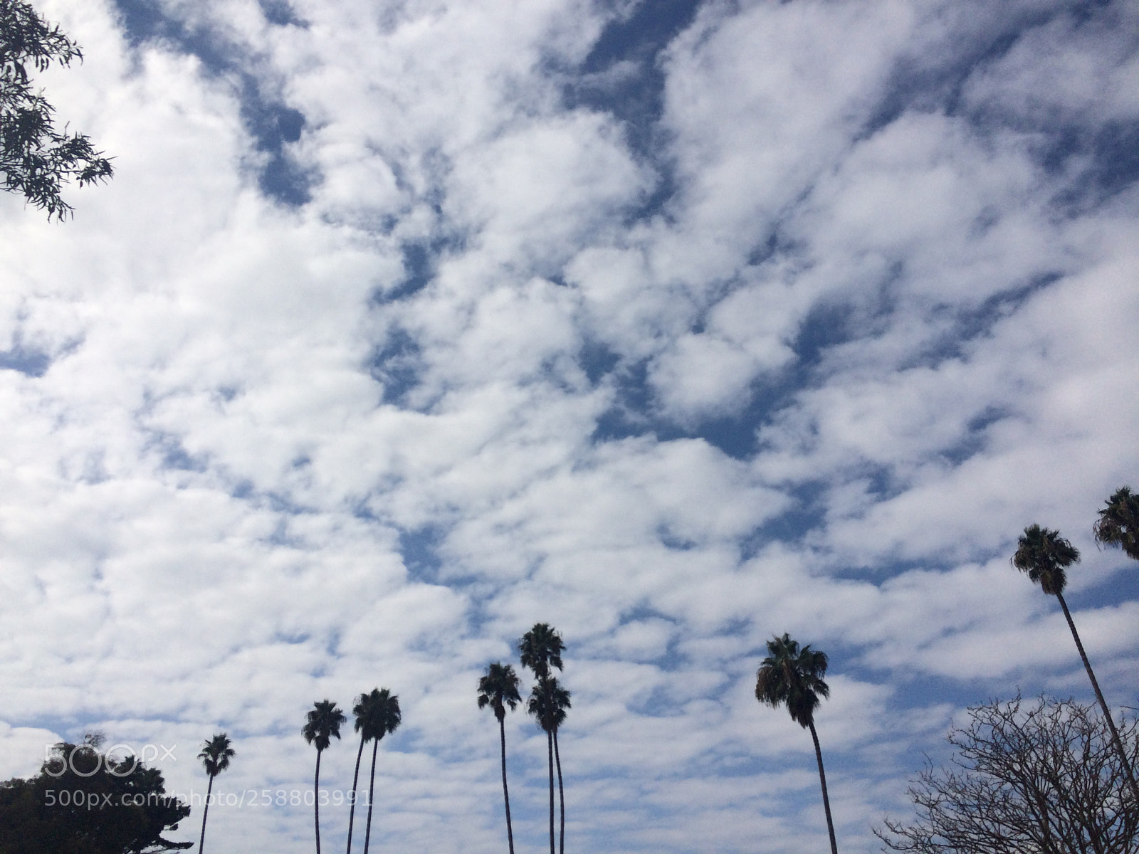 Apple iPhone 5s sample photo. 6068.jpg photography