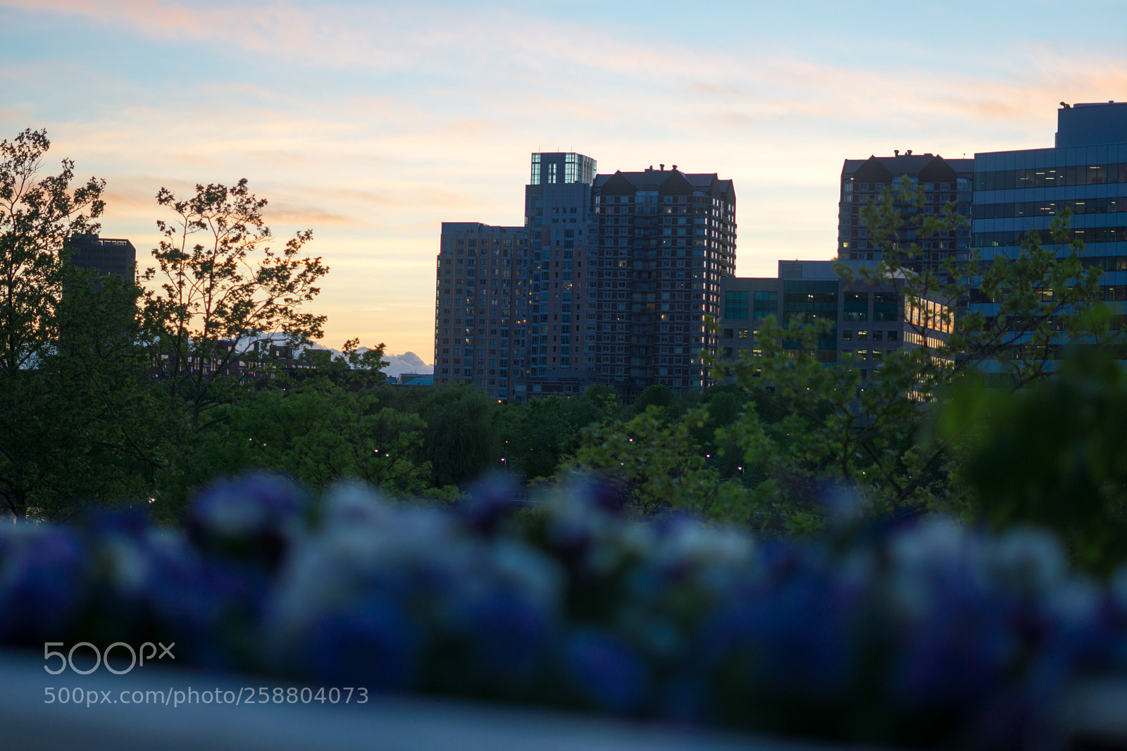 Sony a6000 sample photo. Dsc photography
