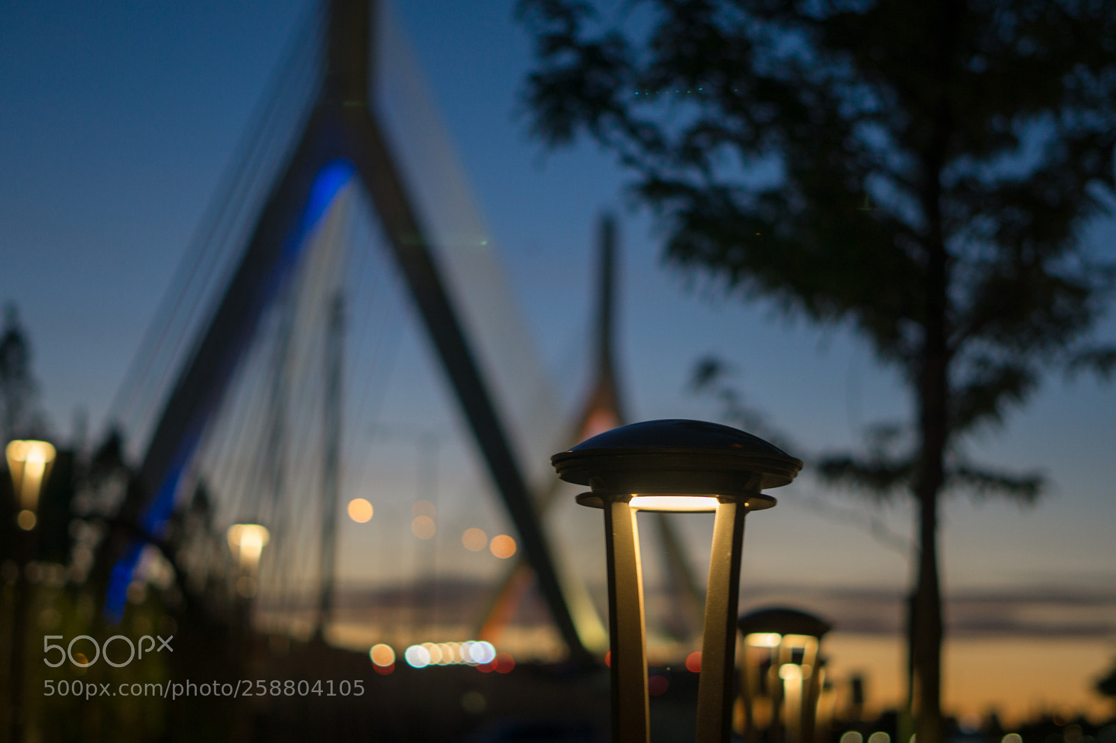 Sony a6000 sample photo. Dsc photography