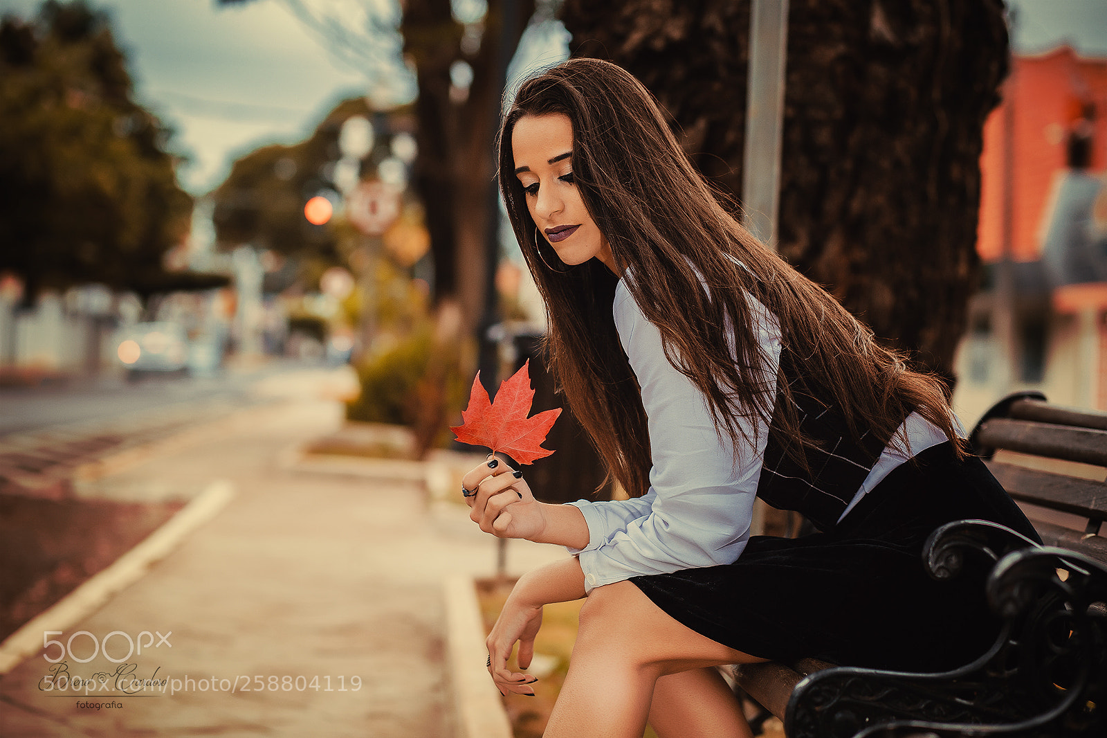 Canon EOS 6D sample photo. Leaf ii photography