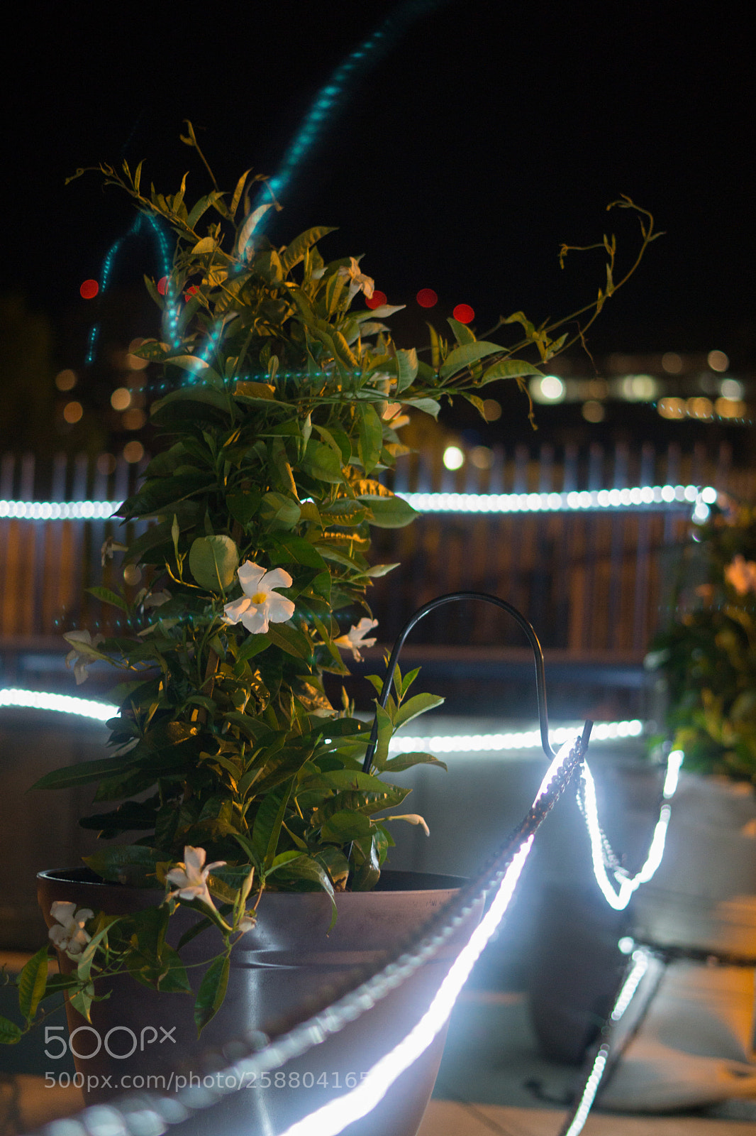 Sony a6000 sample photo. Dsc photography