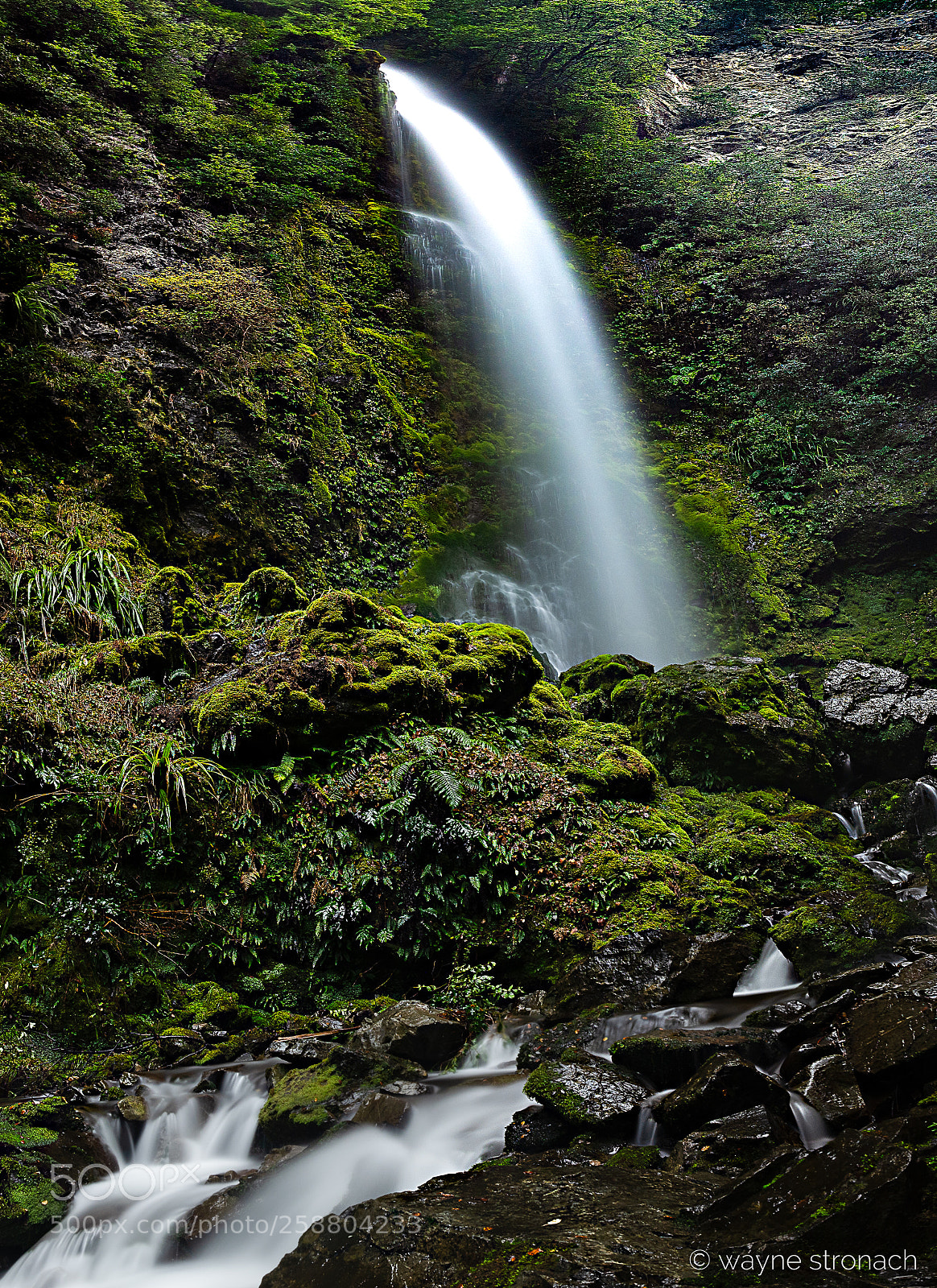 Olympus OM-D E-M10 II sample photo. Whiskey falls photography