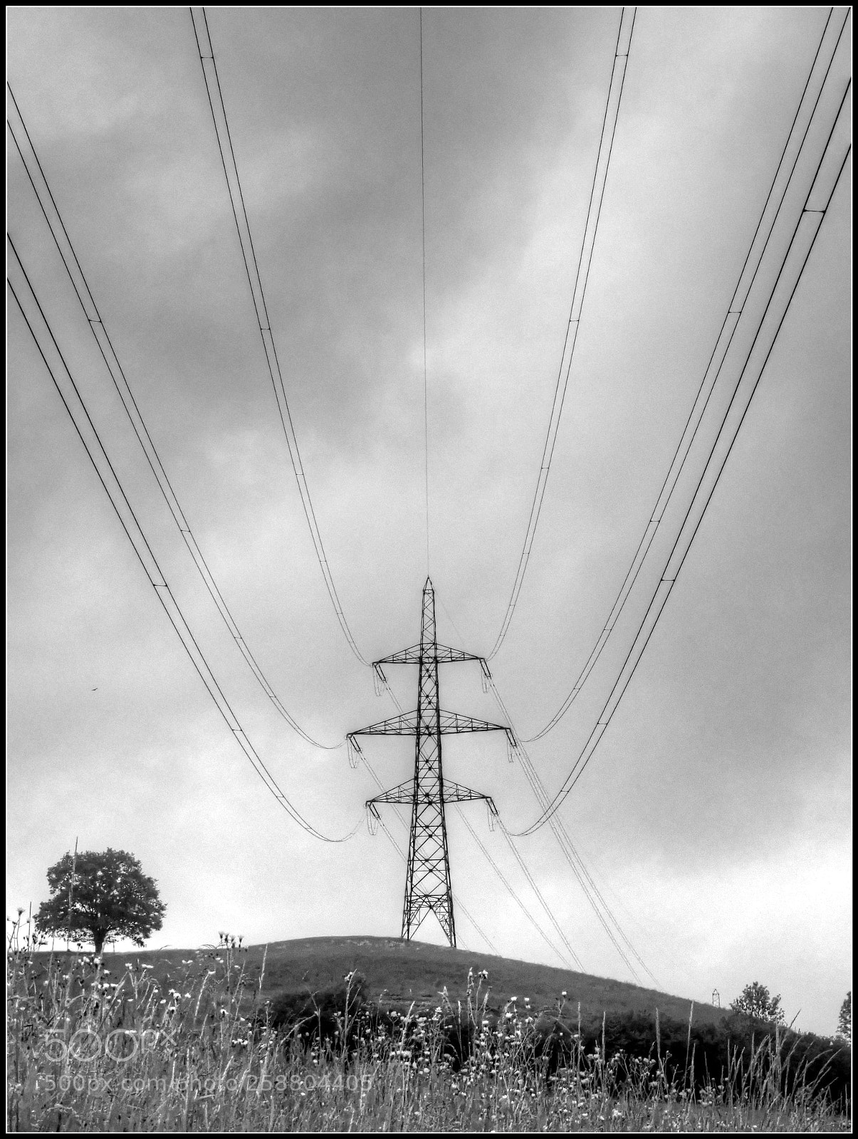 Olympus TG-5 sample photo. Ein spannendes bild photography