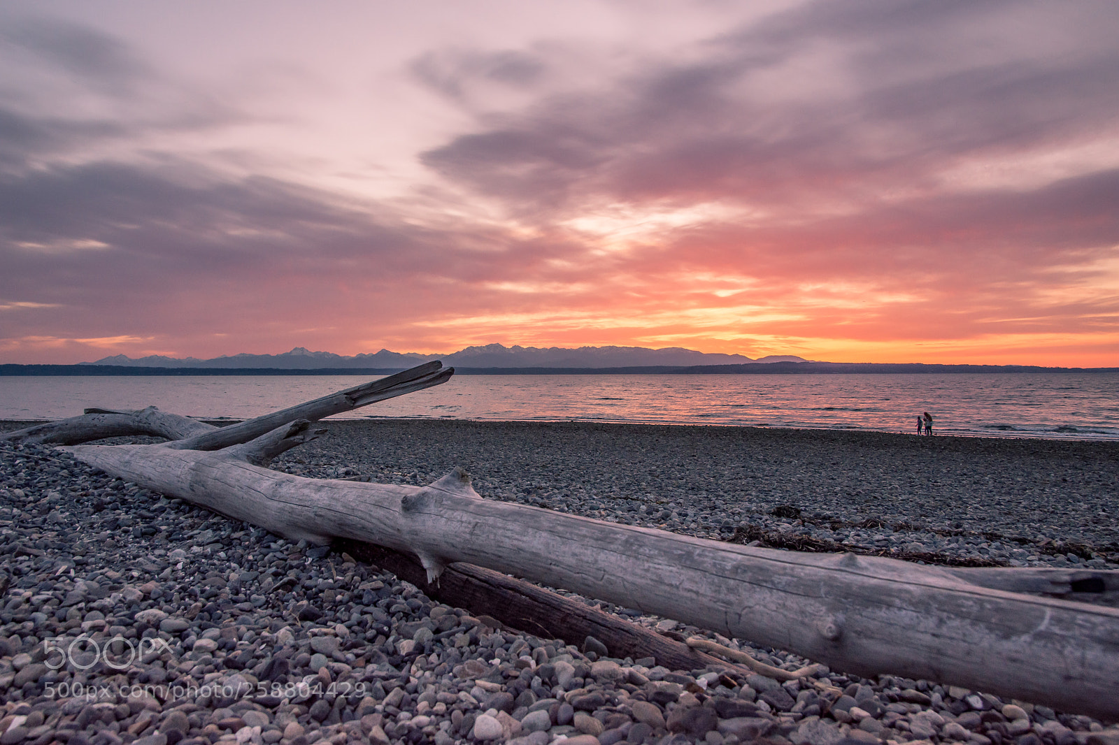 Nikon D7200 sample photo. Seattle sunsets photography