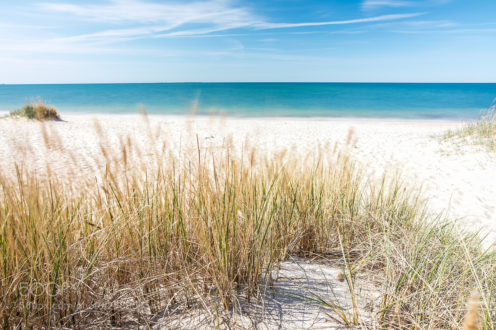 Canon EOS 5D Mark IV sample photo. Paradise photography