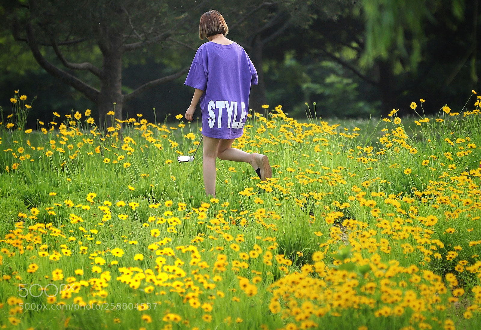 Canon EOS 6D Mark II sample photo. 黄花地 photography