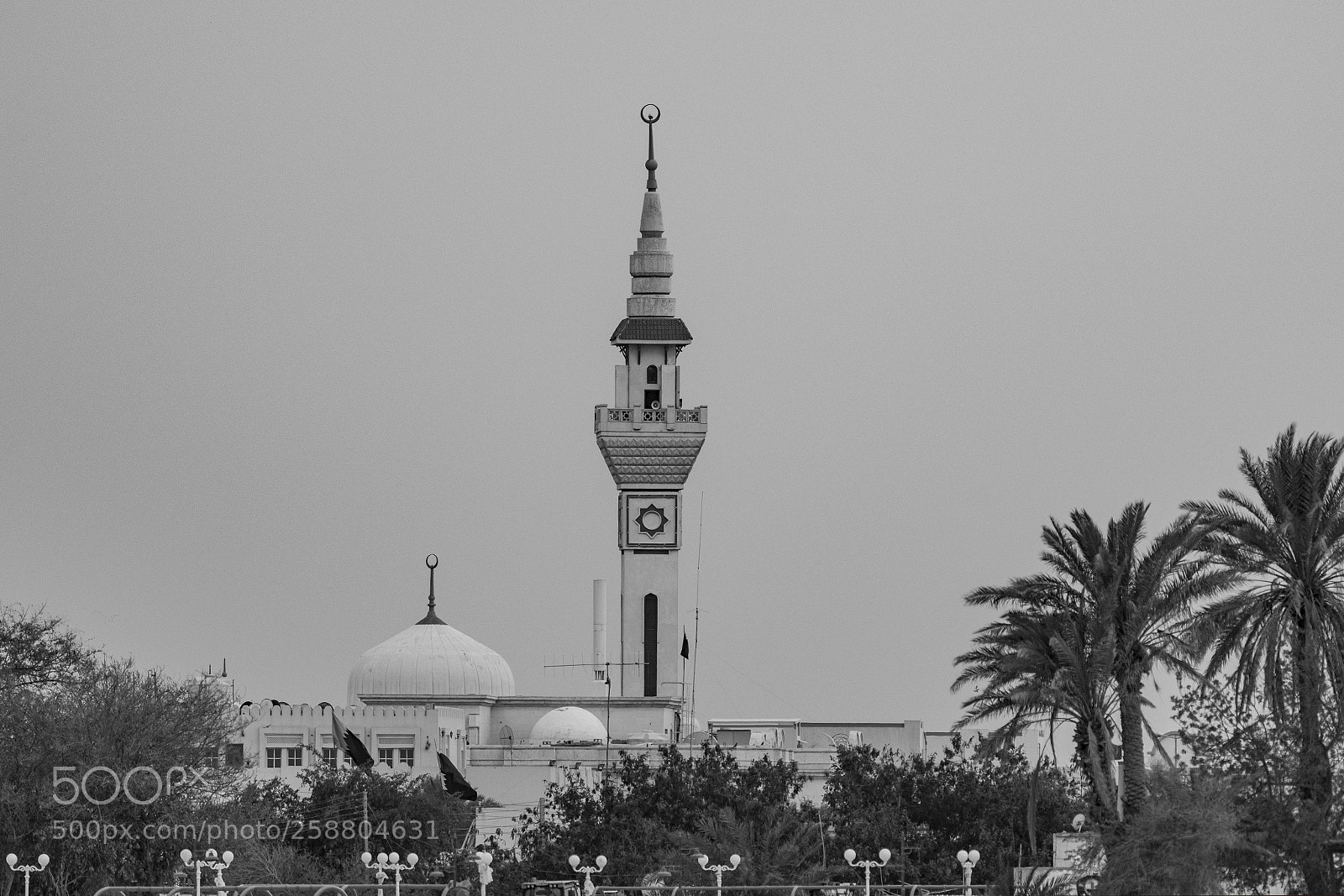Nikon D500 sample photo. Mosque photography