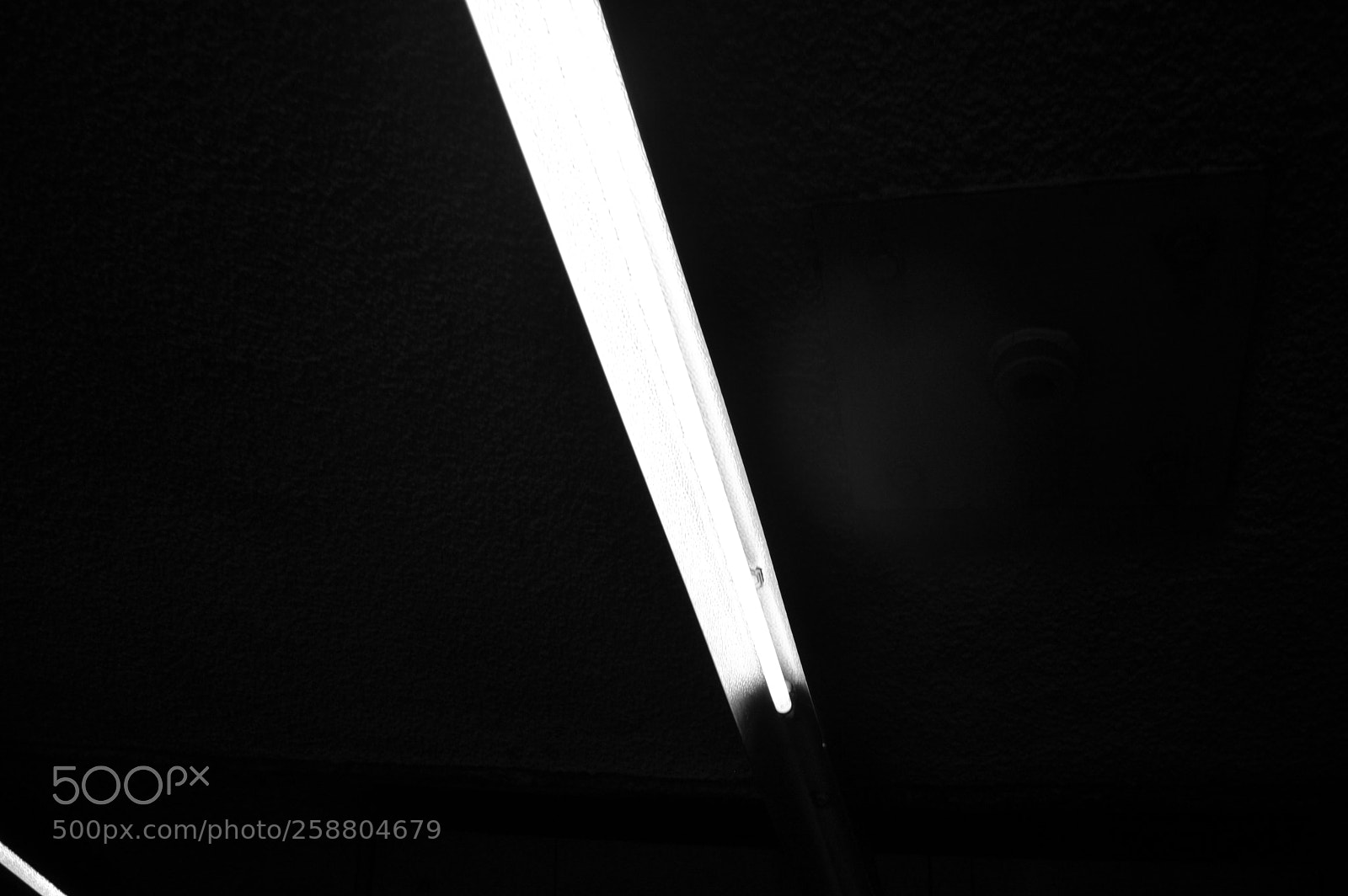 Nikon D3200 sample photo. Neon photography