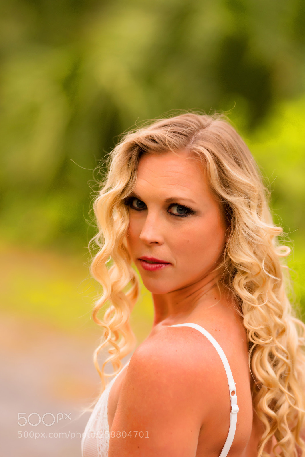 Nikon D810 sample photo. Bokeh photography