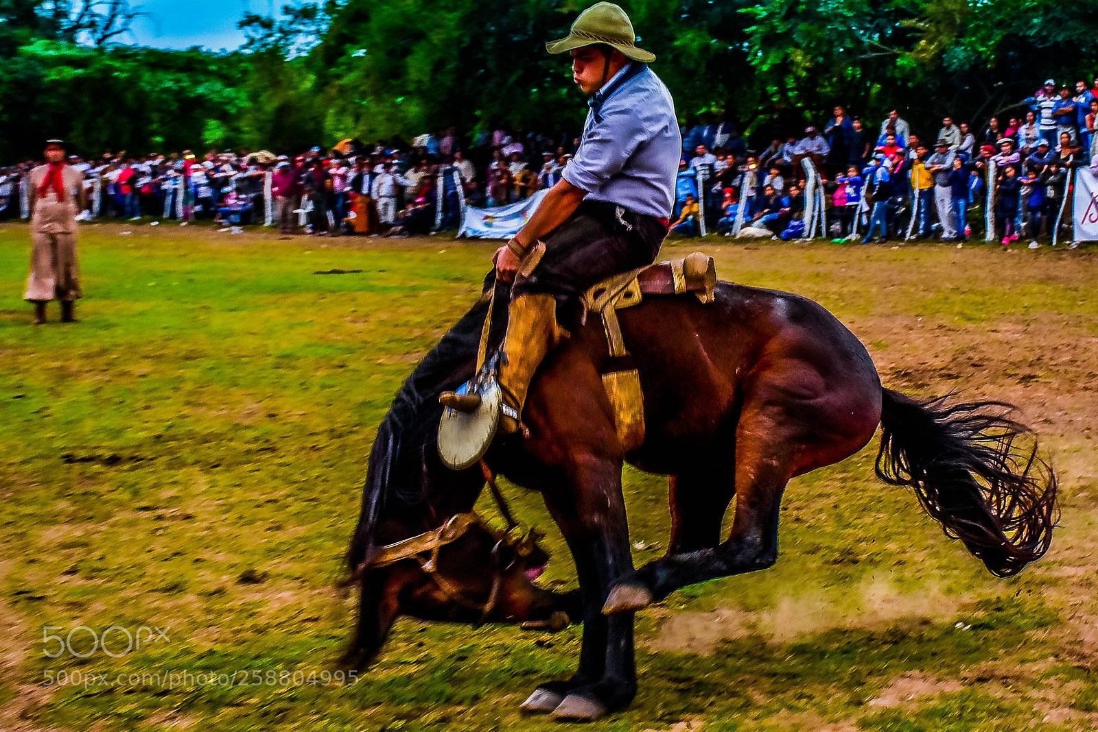 Nikon D7200 sample photo. Nadie photography