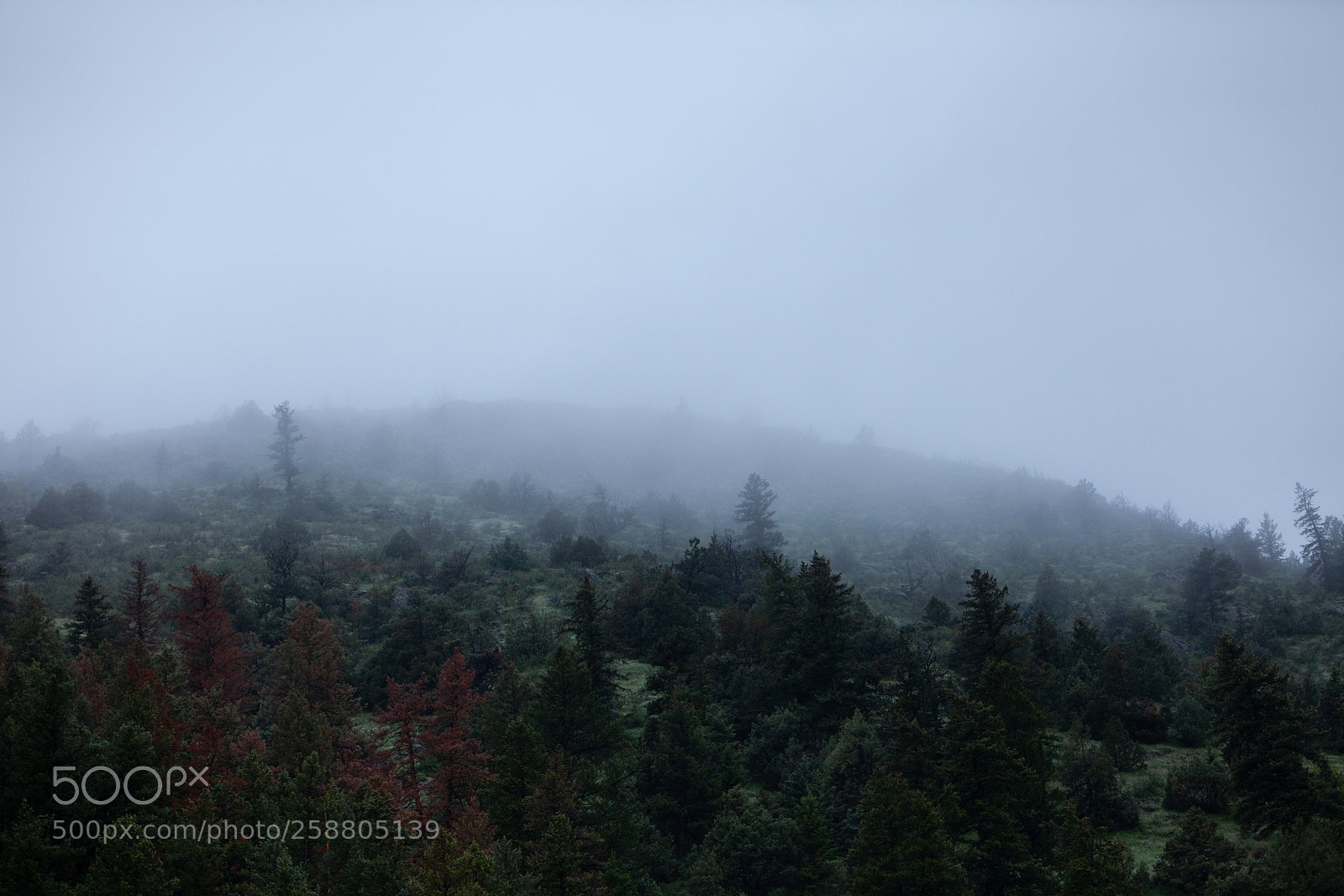 Canon EOS 5D Mark II sample photo. Untitled photography