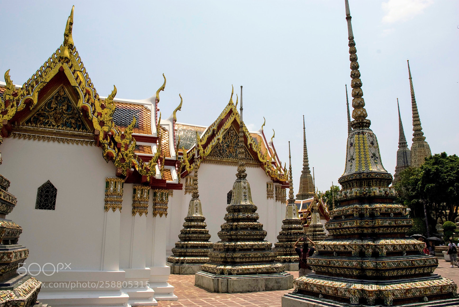 Nikon D80 sample photo. Wat pho, bangkok  photography