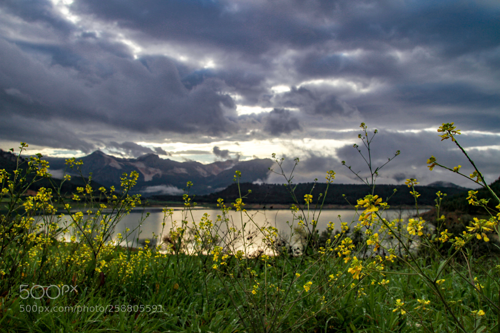 Canon EOS 7D sample photo. Img photography