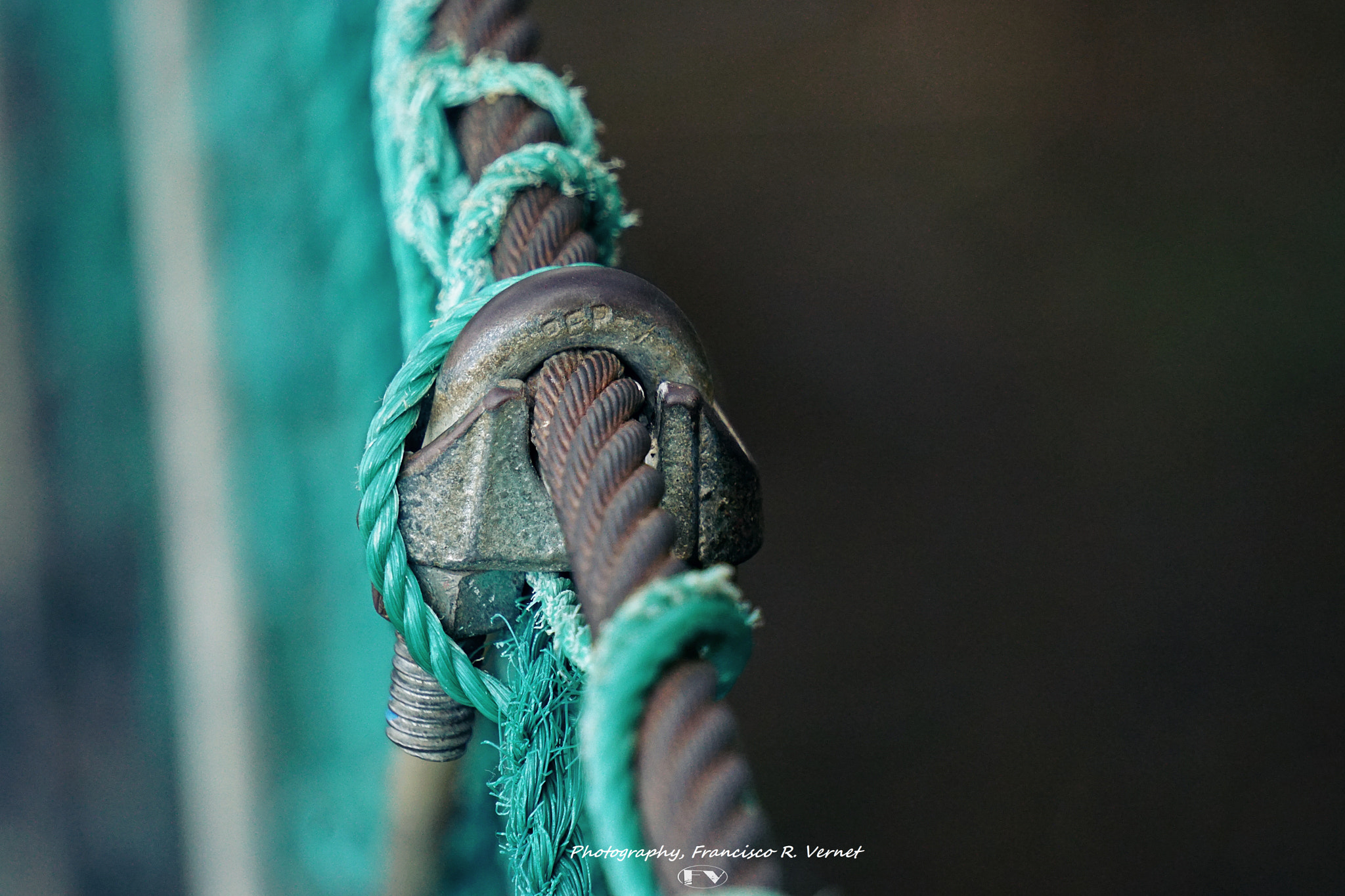 Sony E 55-210mm F4.5-6.3 OSS sample photo. Tightly locked... knots photography