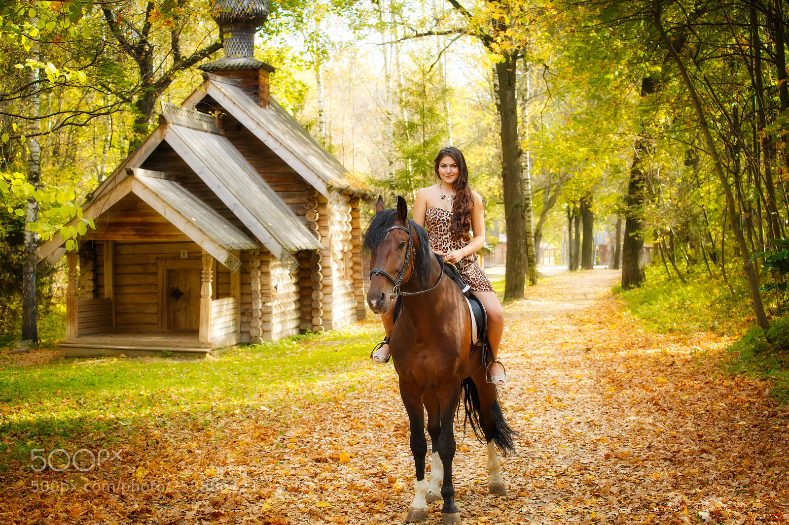 Canon EOS 6D sample photo. Fairy woods photography