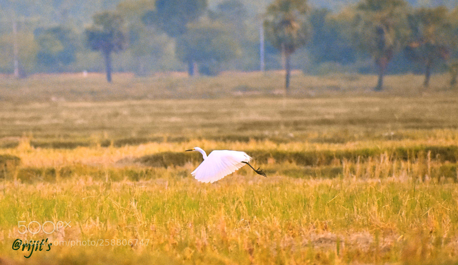 Nikon D3400 sample photo. Take off photography