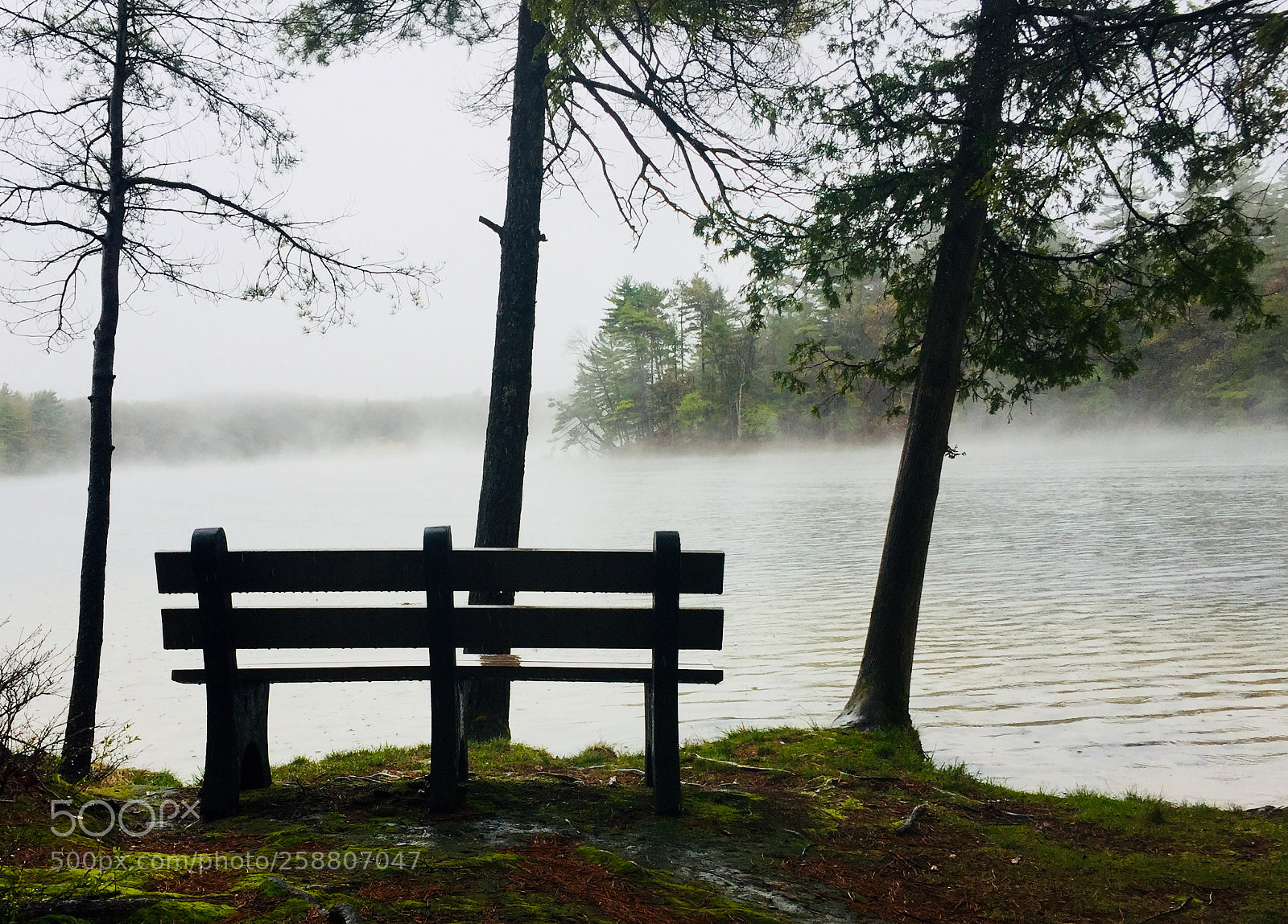 Apple iPhone 6 sample photo. Gloomy sunday photography