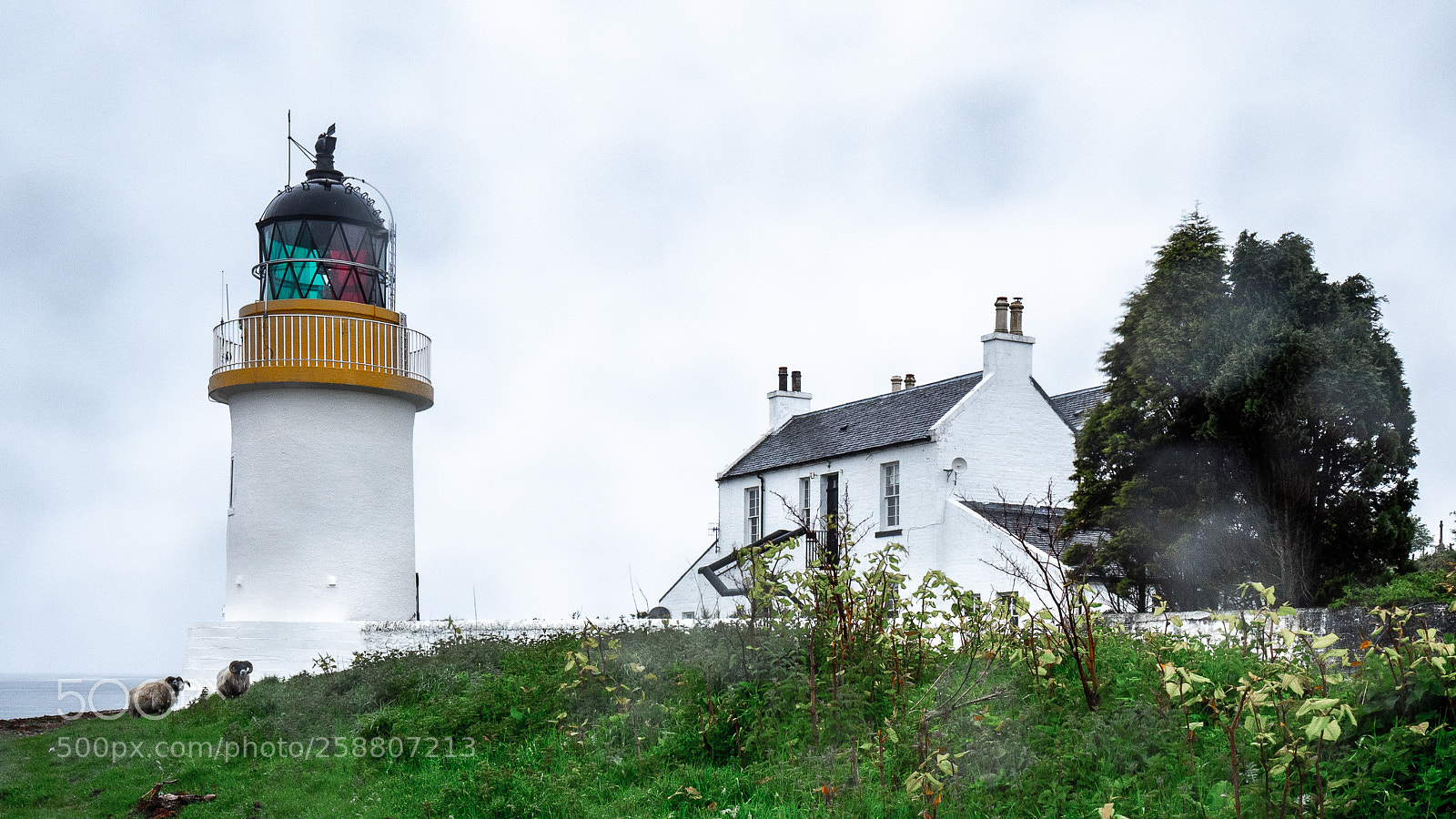 Olympus OM-D E-M5 II sample photo. Visiting scotland - corran photography