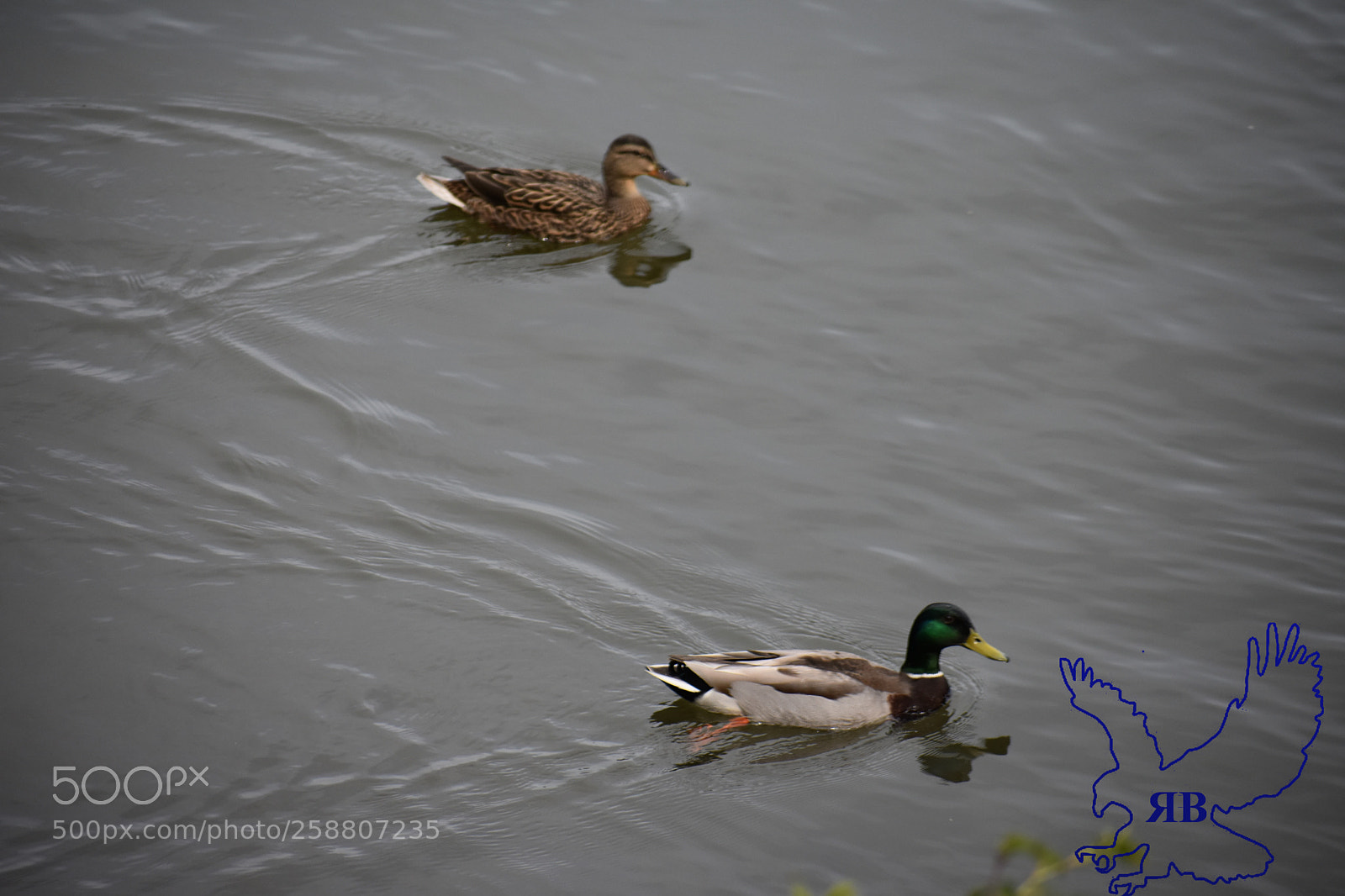Nikon D3400 sample photo. New photography