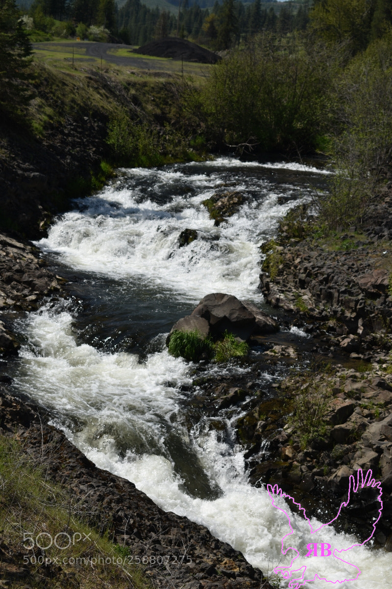 Nikon D3400 sample photo. 5-14-2.jpg photography