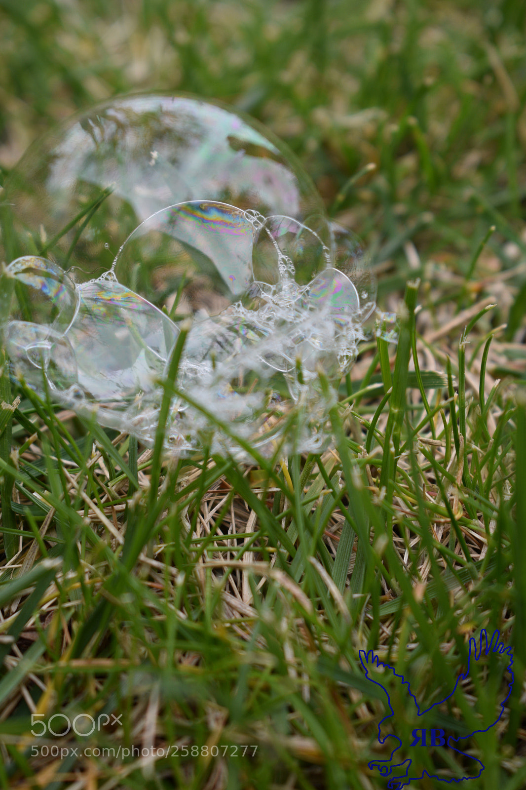 Nikon D3400 sample photo. New photography