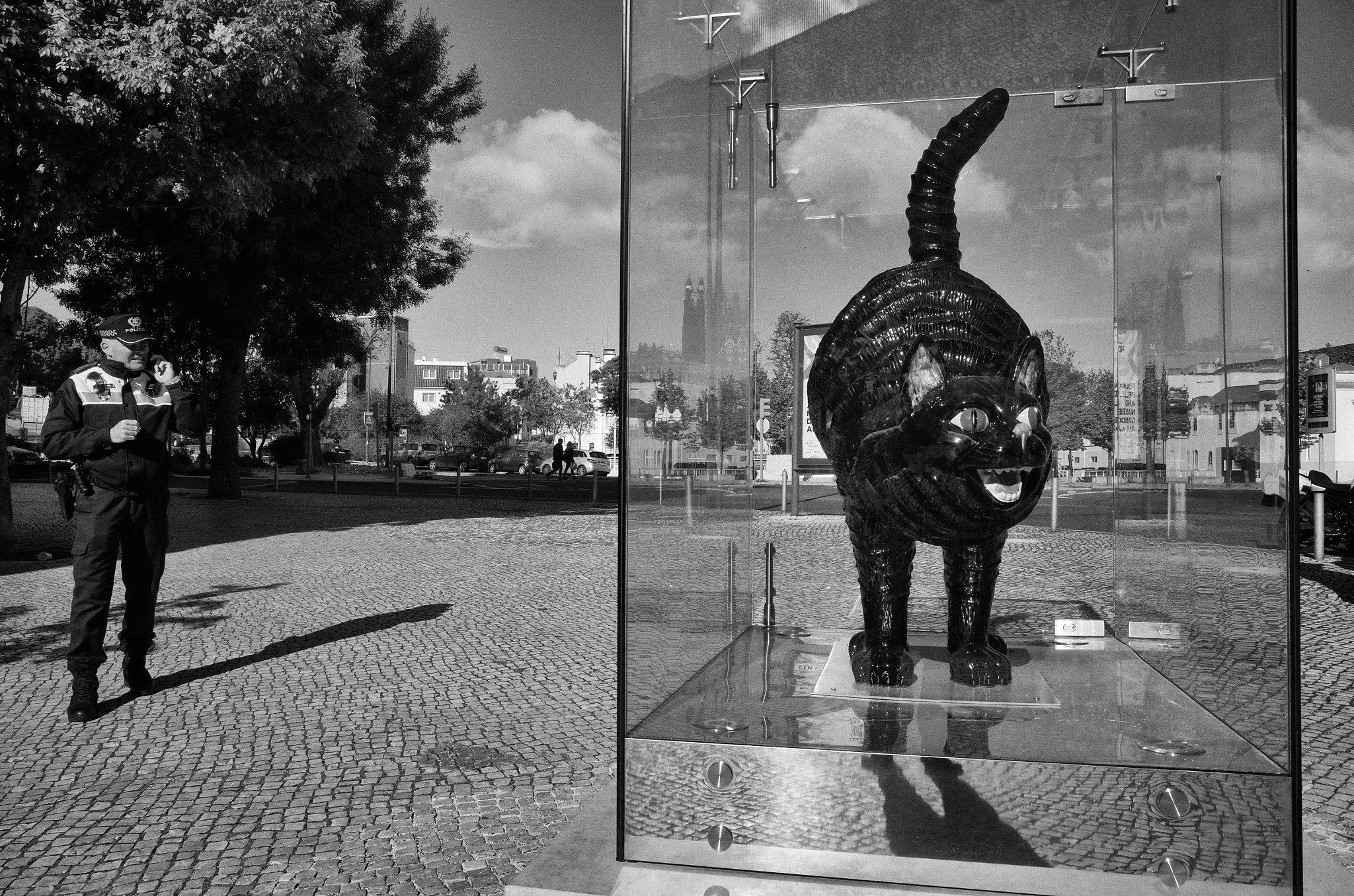 Ricoh GR sample photo. Fritz the cat photography
