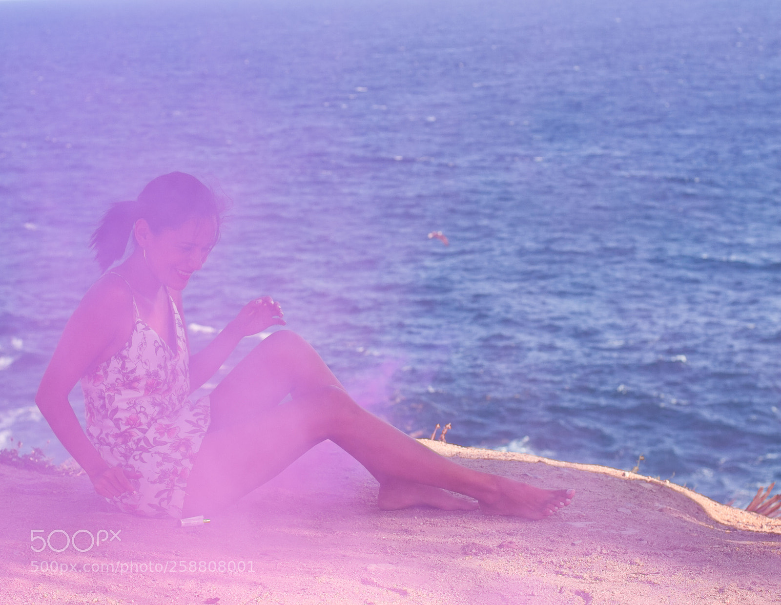 Canon EOS 7D sample photo. Rosa photography