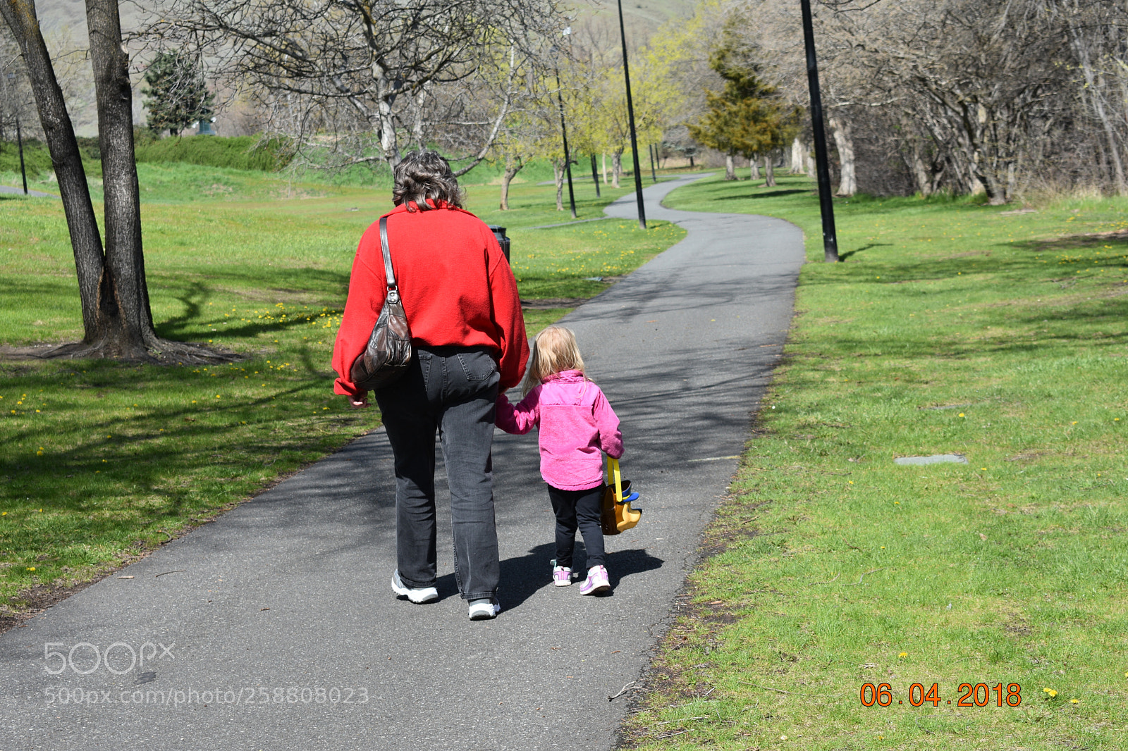Nikon D3400 sample photo. Dsc photography