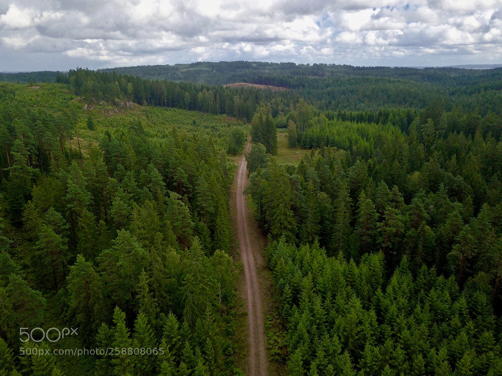 DJI FC220 sample photo. Dirt road in the photography